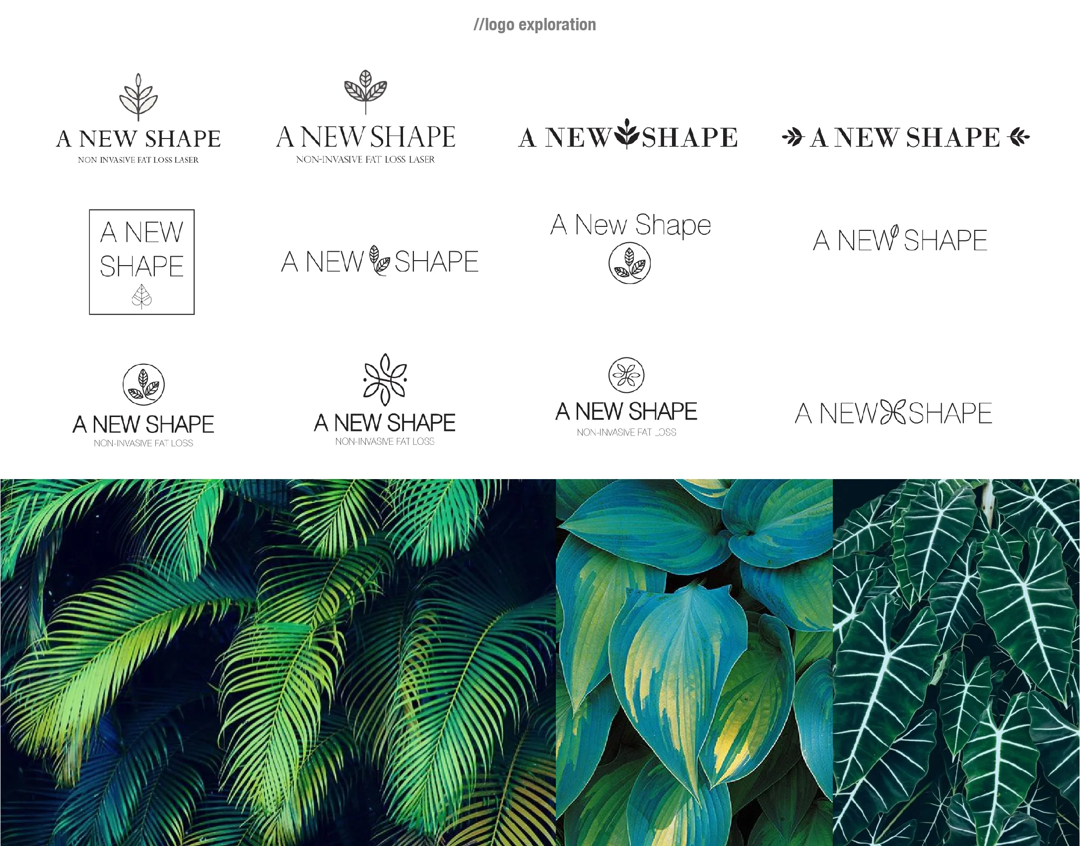 ANewShape_StyleGuide-02.jpg