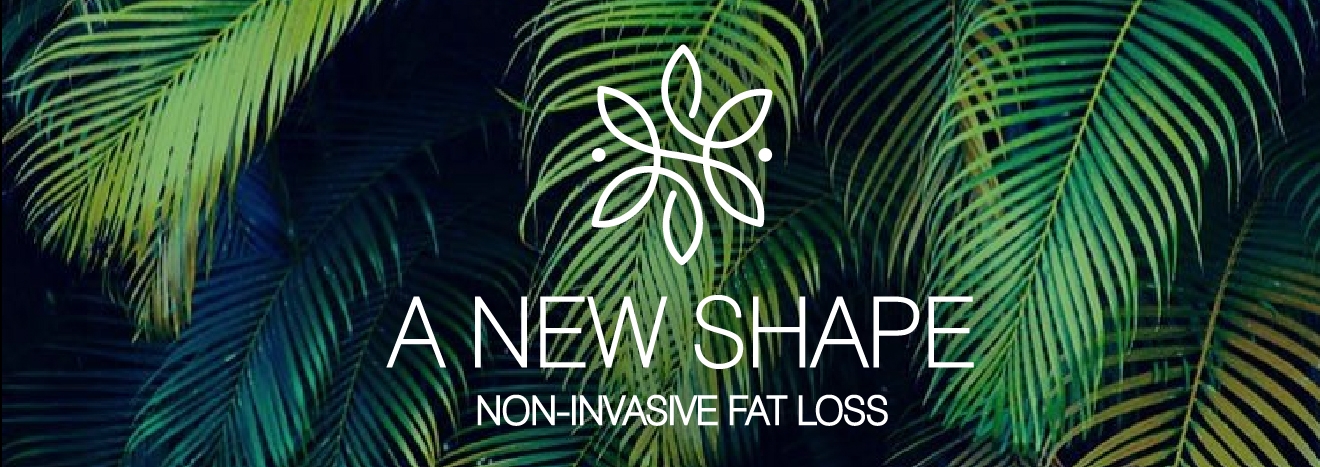   Challenge:  A New Shape, a newly opened business, needed a strong brand identity that reflected the company’s unique service as well as the owner’s vision. Marcie, the company’s owner and operator of the Zerona laser, wasn’t bringing in any new cus