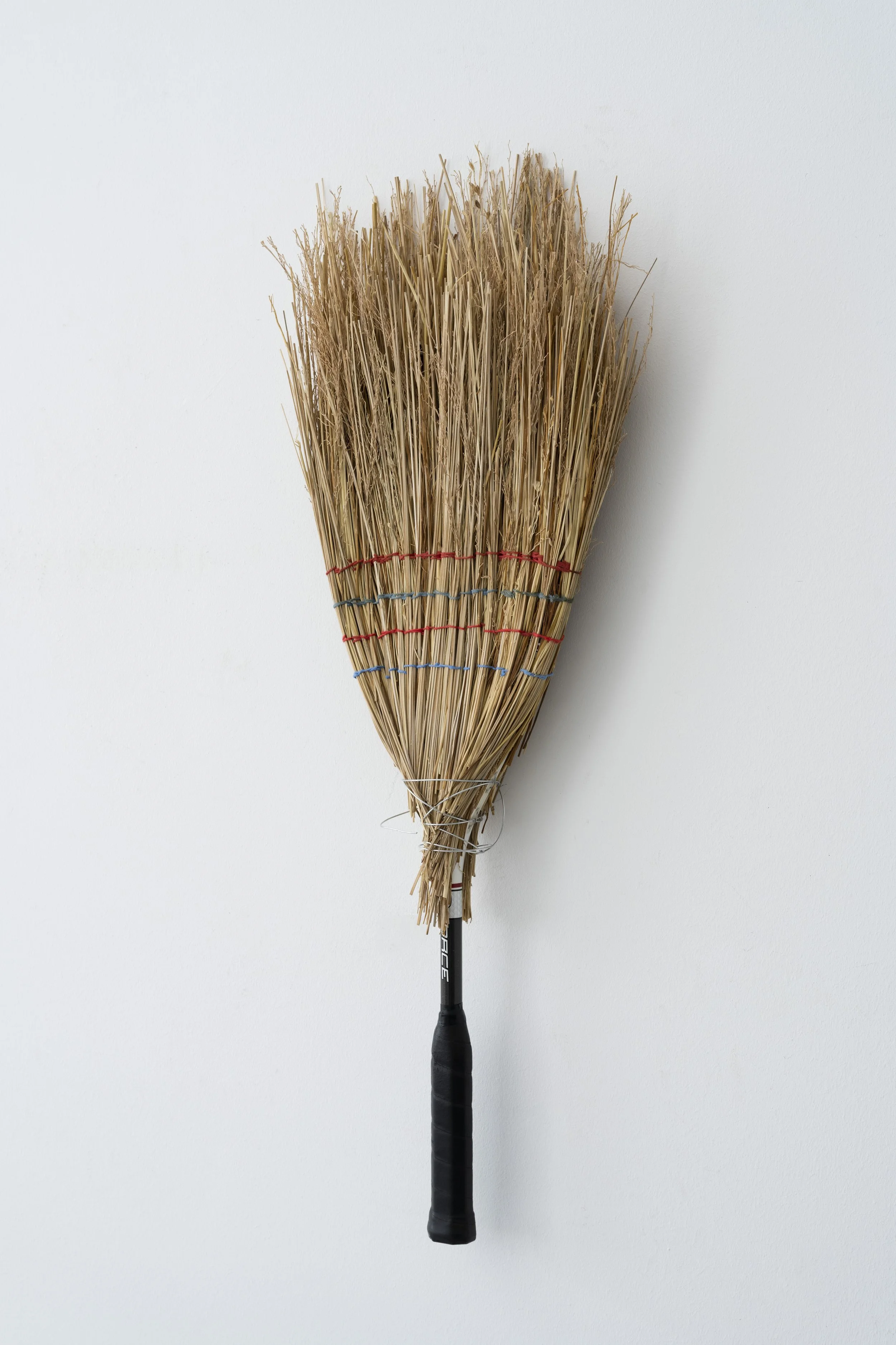 The Wilson Witch, 2024