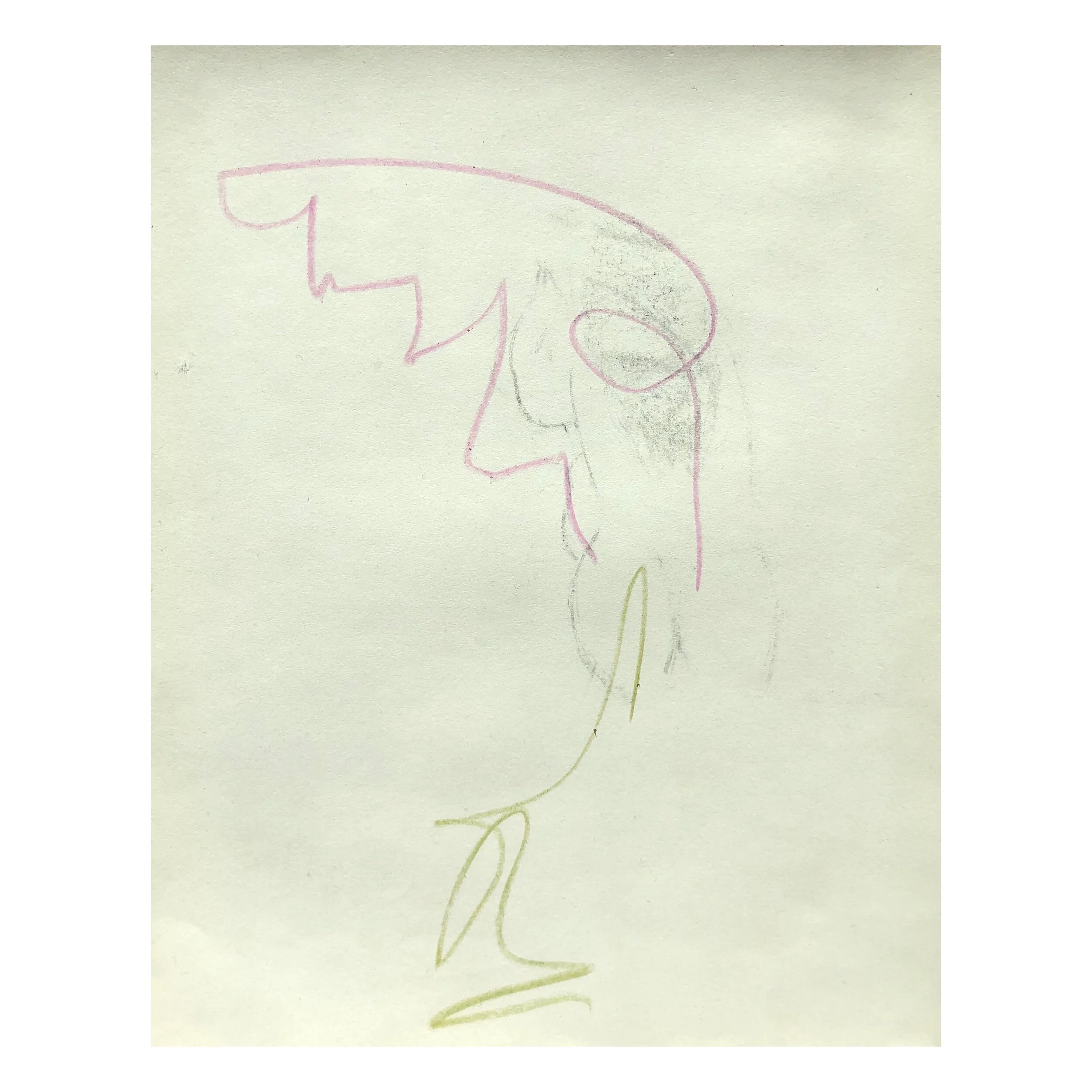 Whitagram-Image 11.JPG