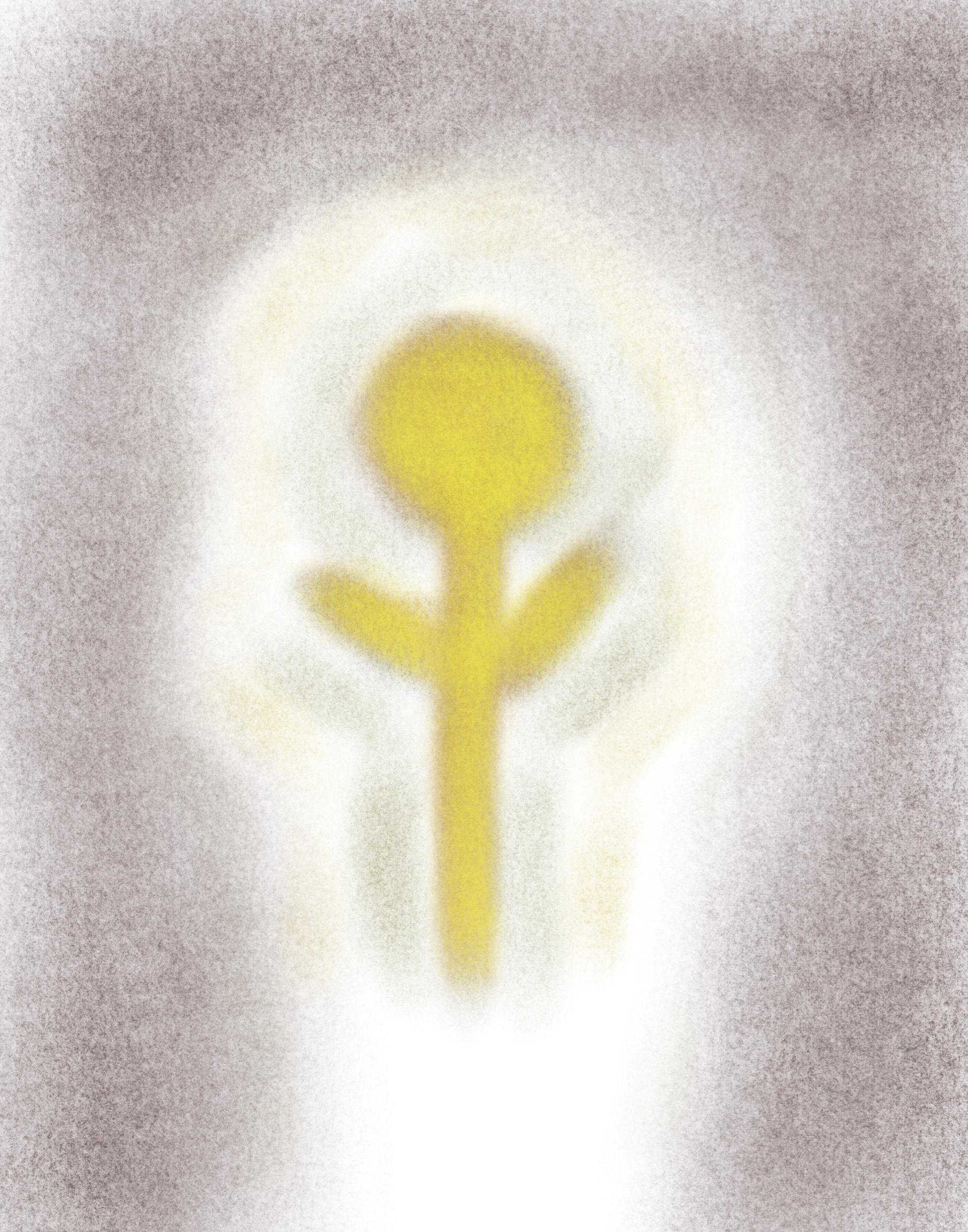 IMG_0898.png