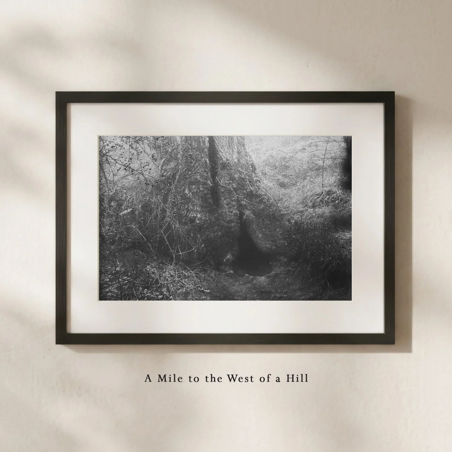 AMileToTheWestOfAHill.jpg
