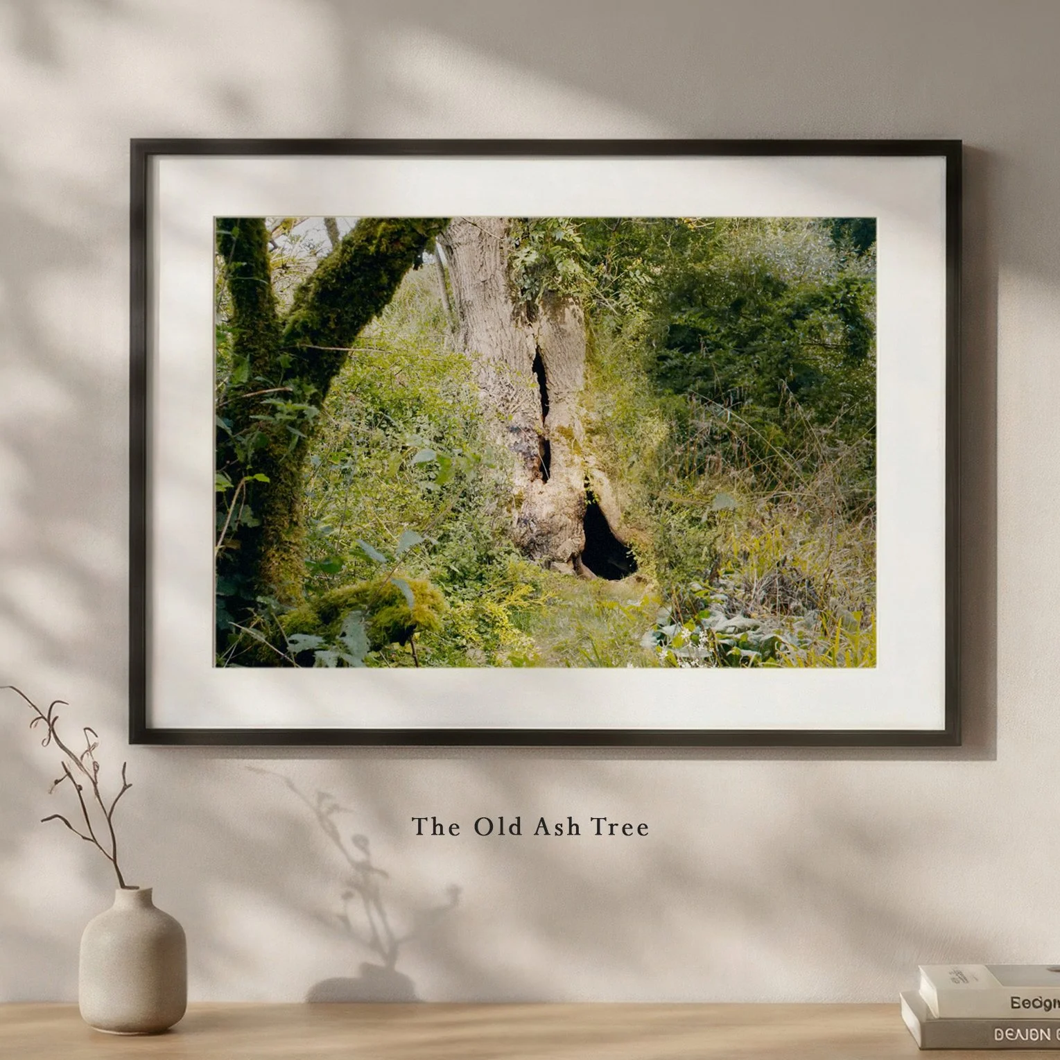 TheOldAshTree.jpg