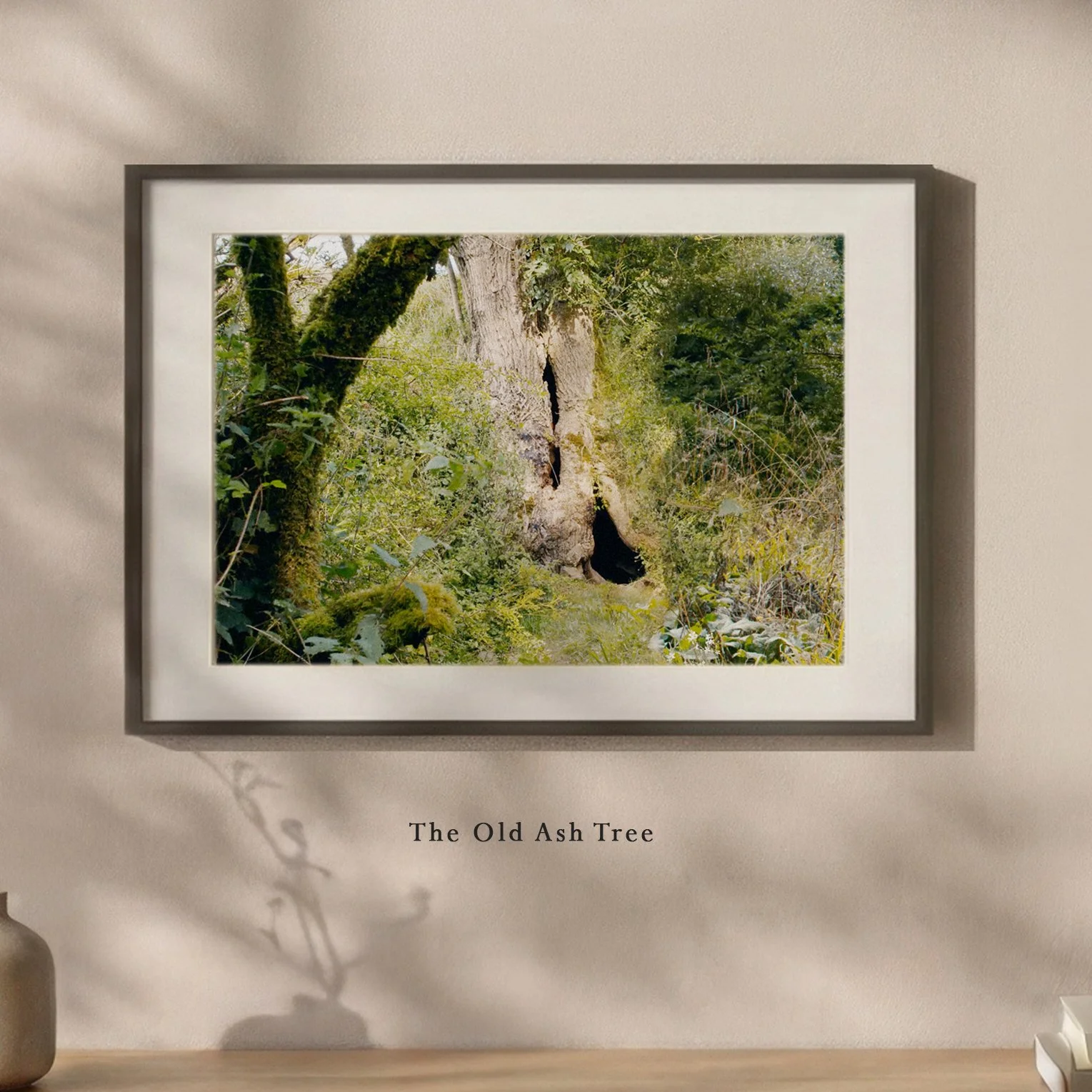 TheOldAshTree.jpg