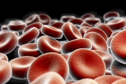 Red Blood Cells