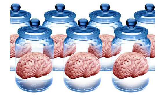 Brains in Jars, artwork, Illustration