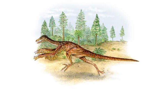 Dinosaur Illustration