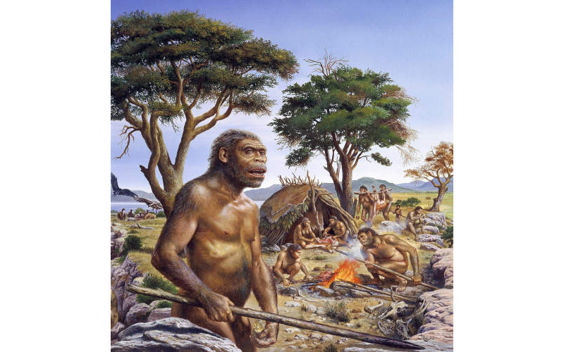 Early Humans Hunting, Homo Erectus