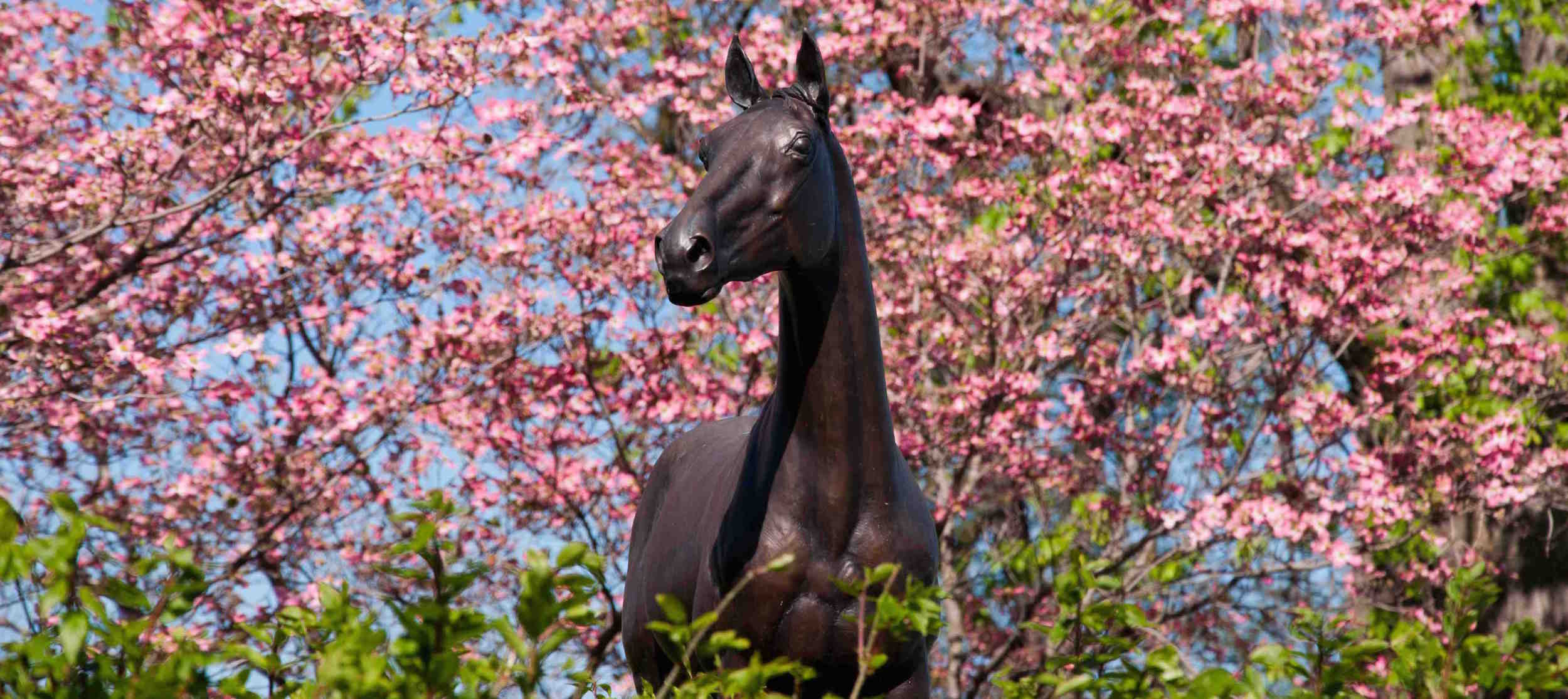 John Henry 650 cropped.jpeg