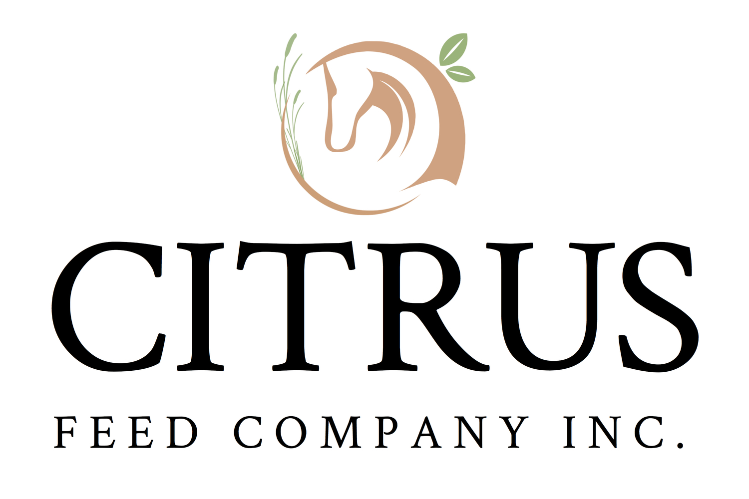 Citrus Feed Company Inc