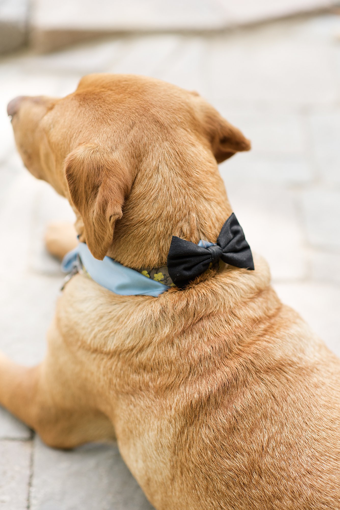 emily-chance-hayes-michigan-wedding-photography_0020.jpg