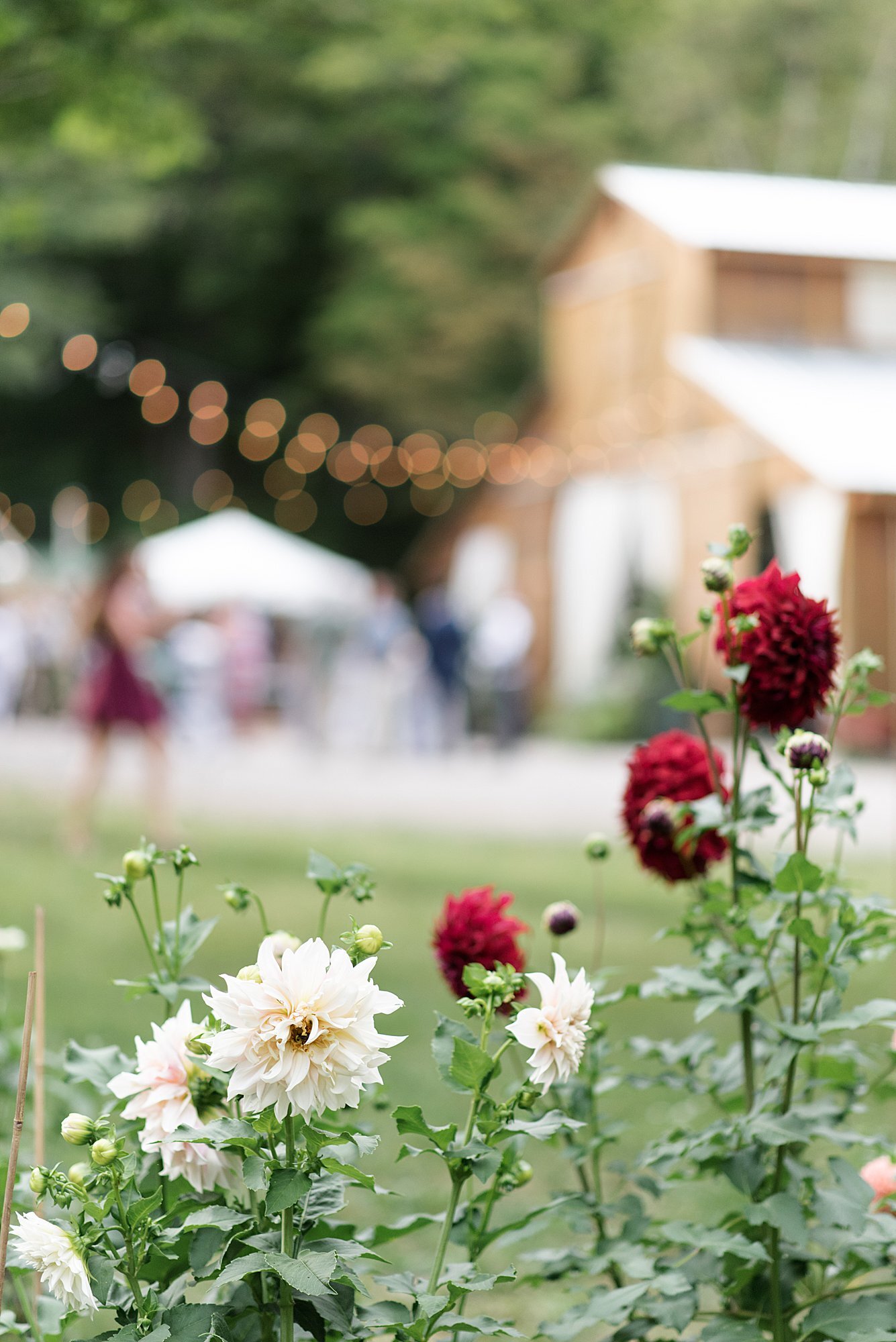 emily-chance-hayes-michigan-wedding-photography_0114.jpg