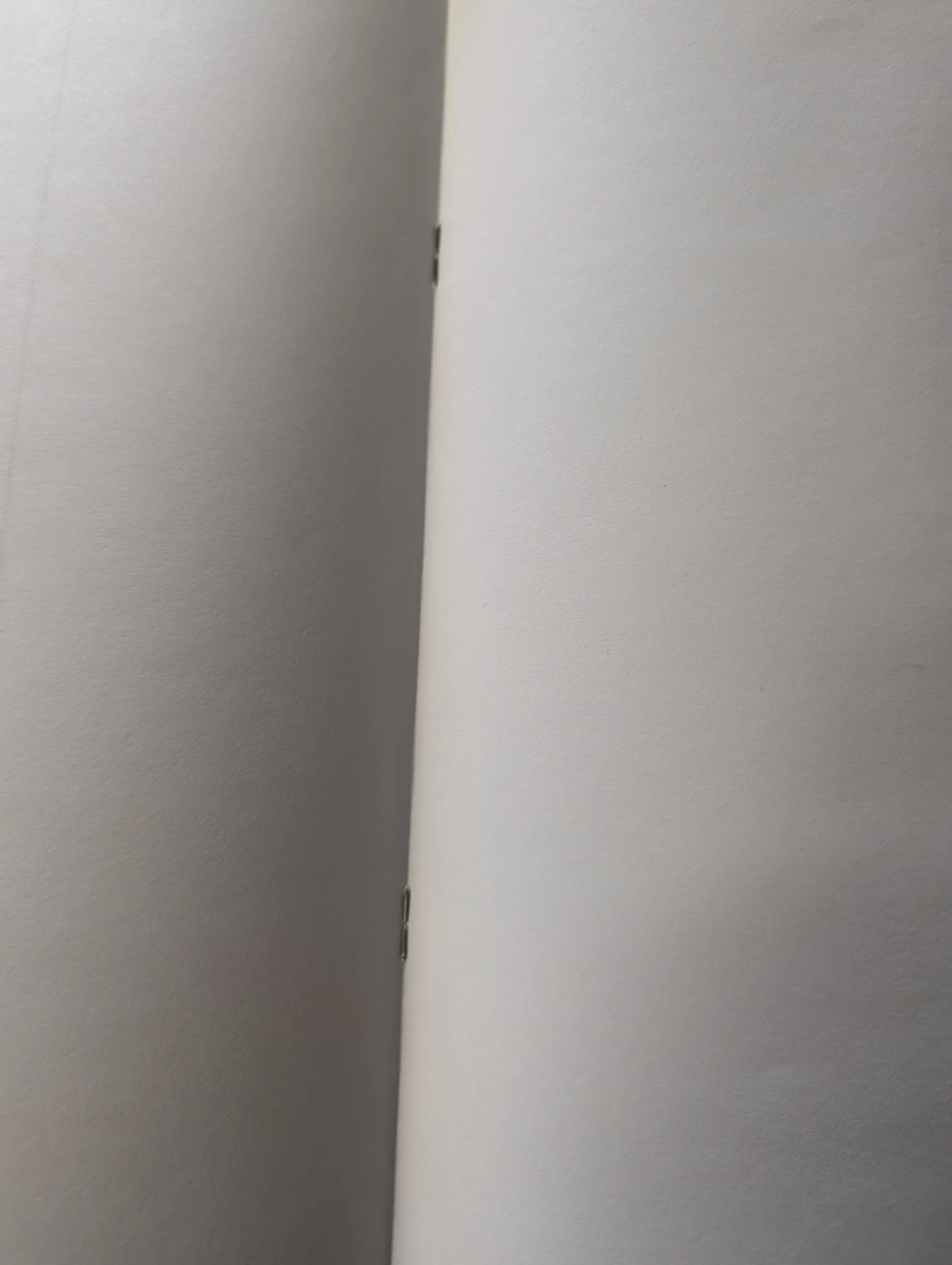 processed_1000016277.jpg