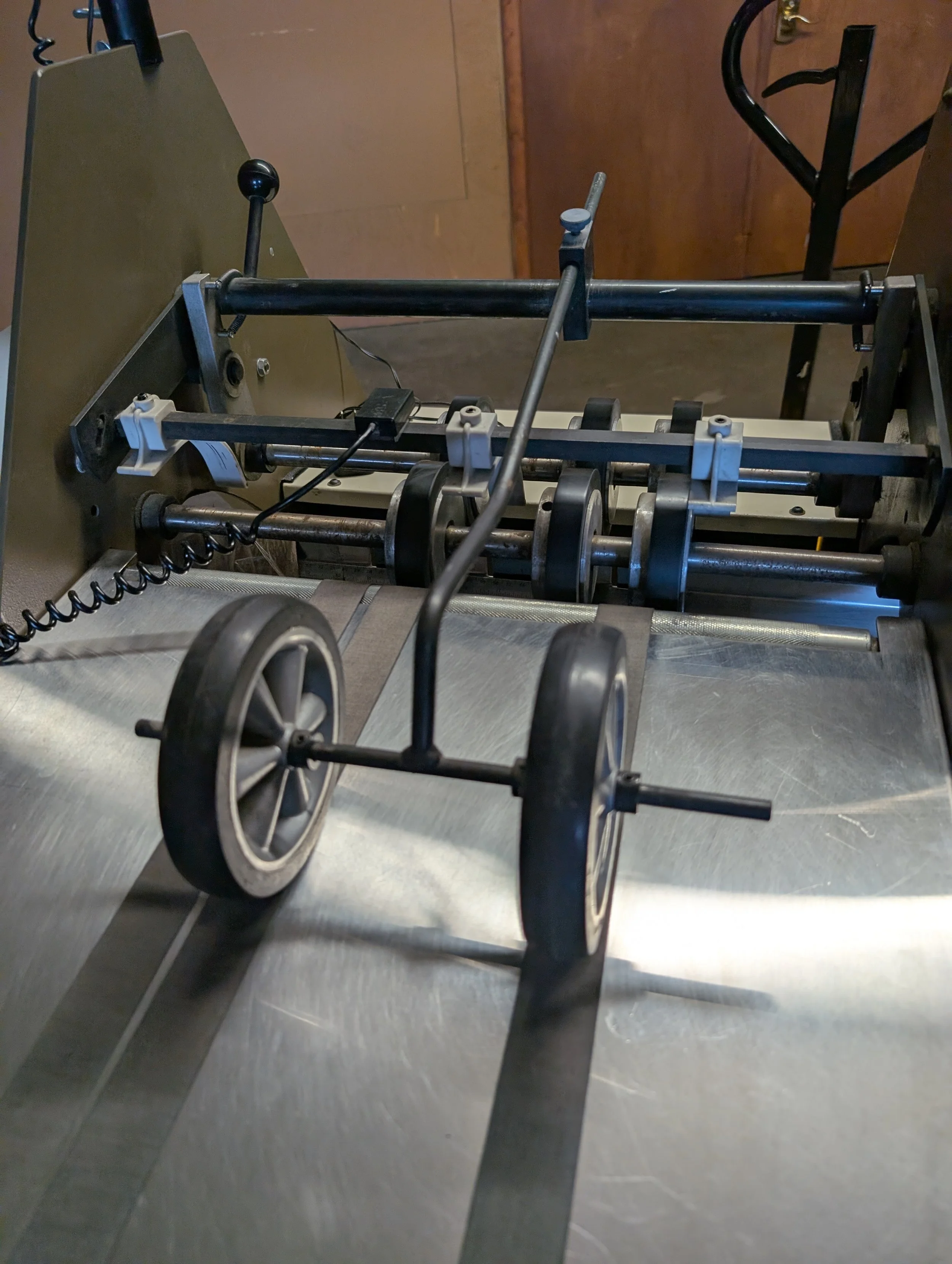 PXL_20260824_171732969.MP.jpg