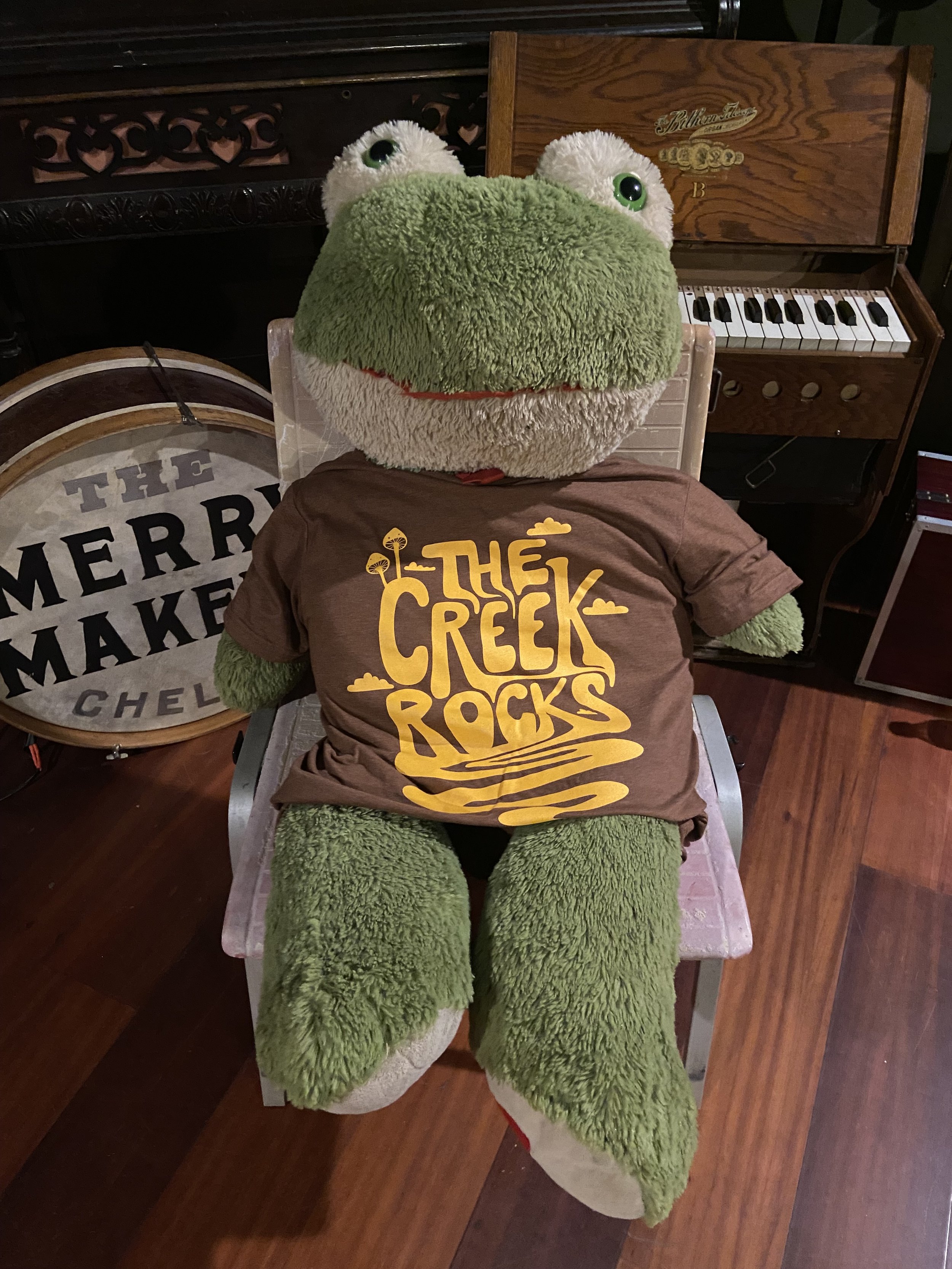 brown shirt frog.JPG
