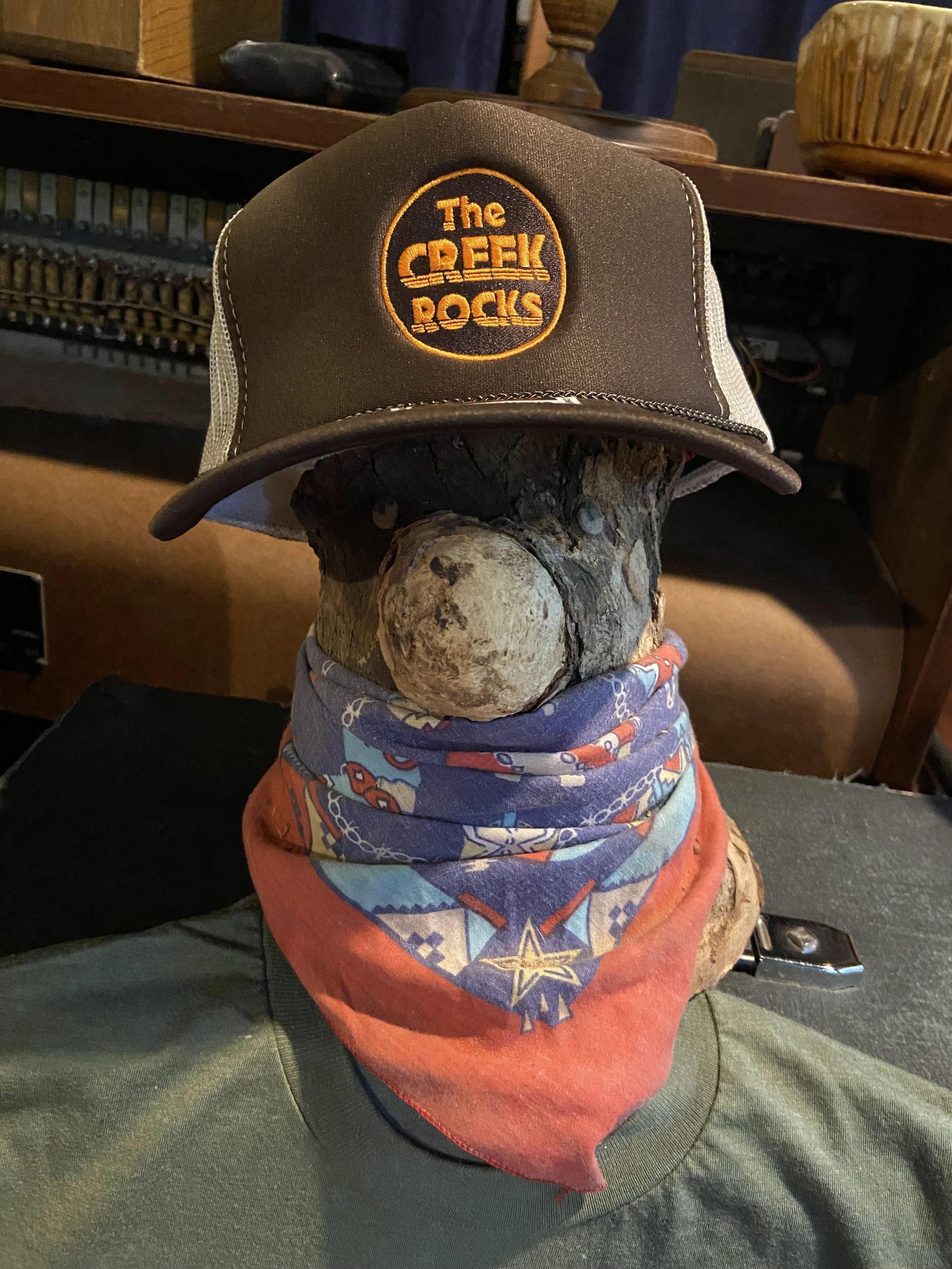 Brown Hat.JPG