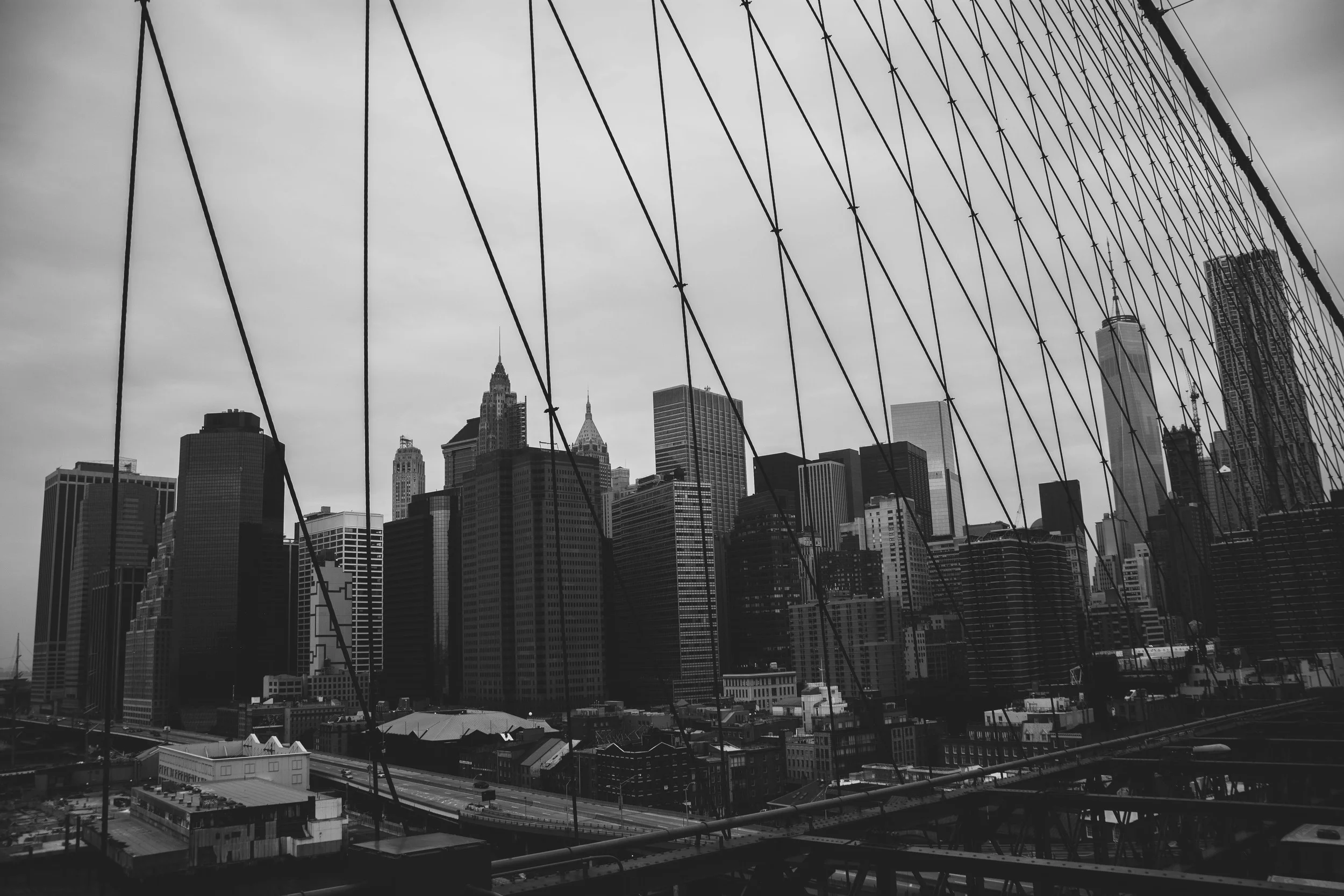 _DSC8224.jpg