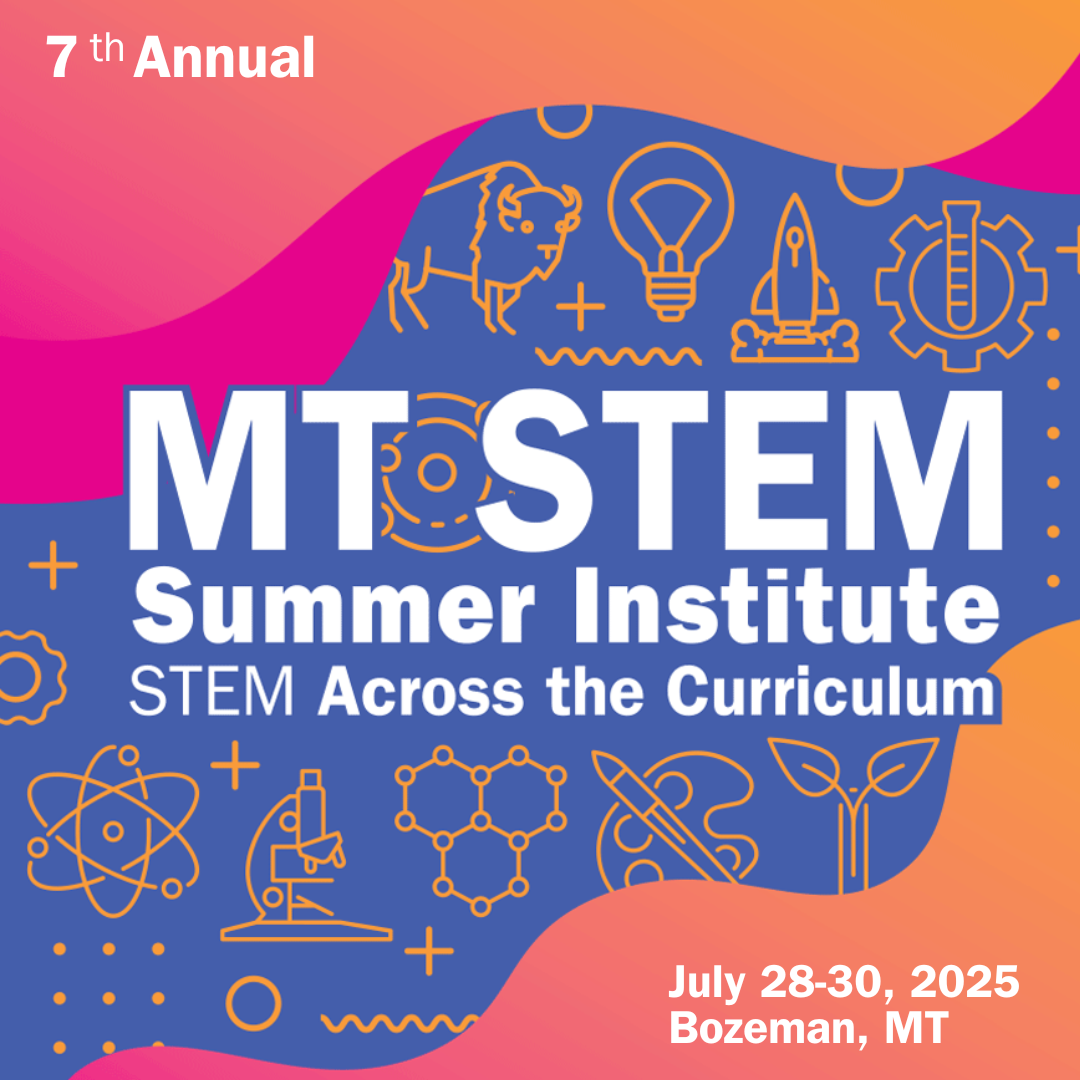 STEM Summer Institute 