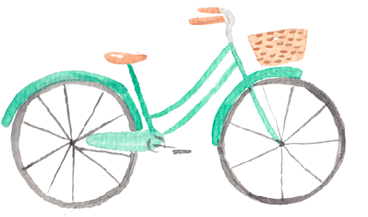 pandc-bike.png