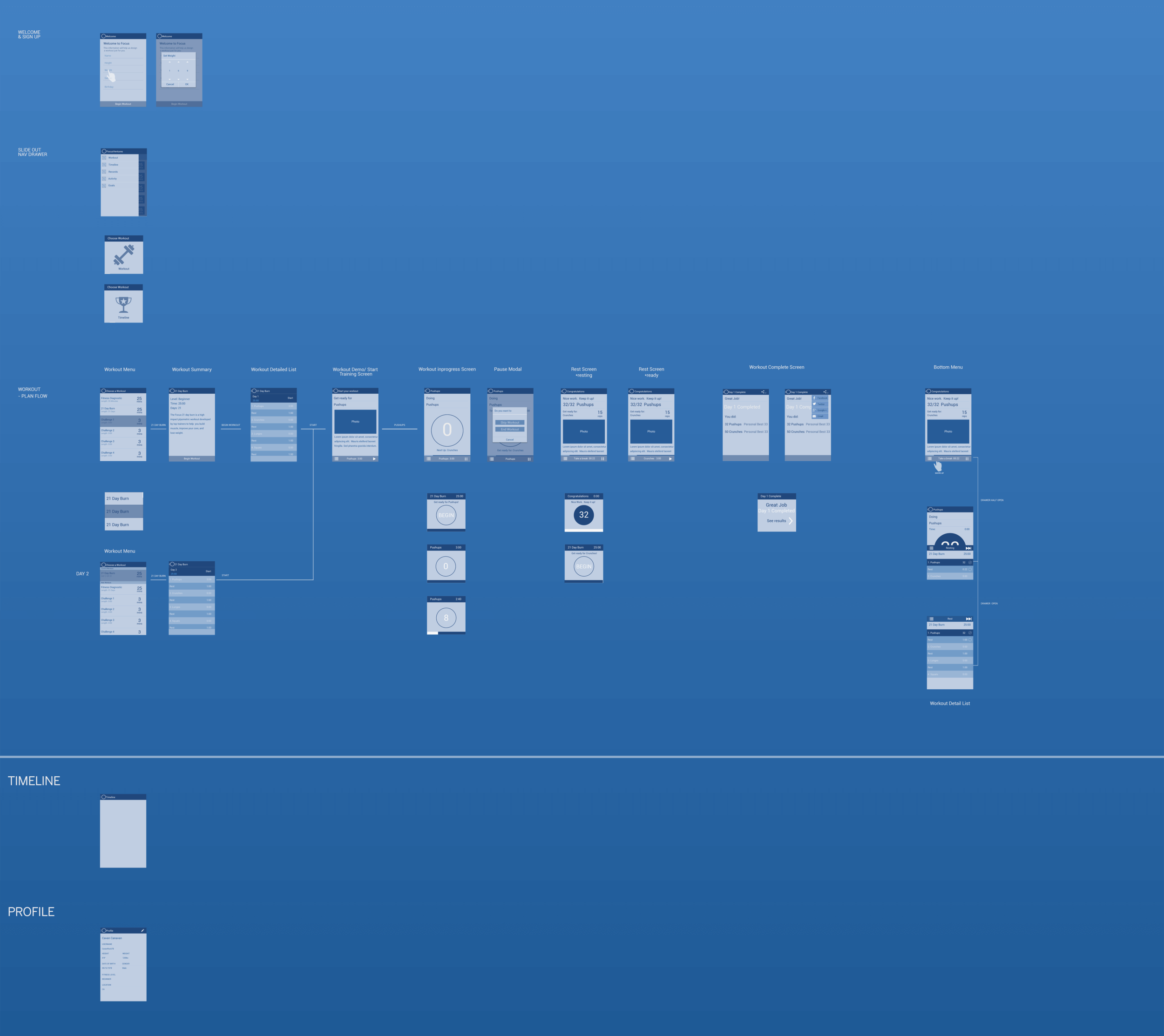 Wireframes
