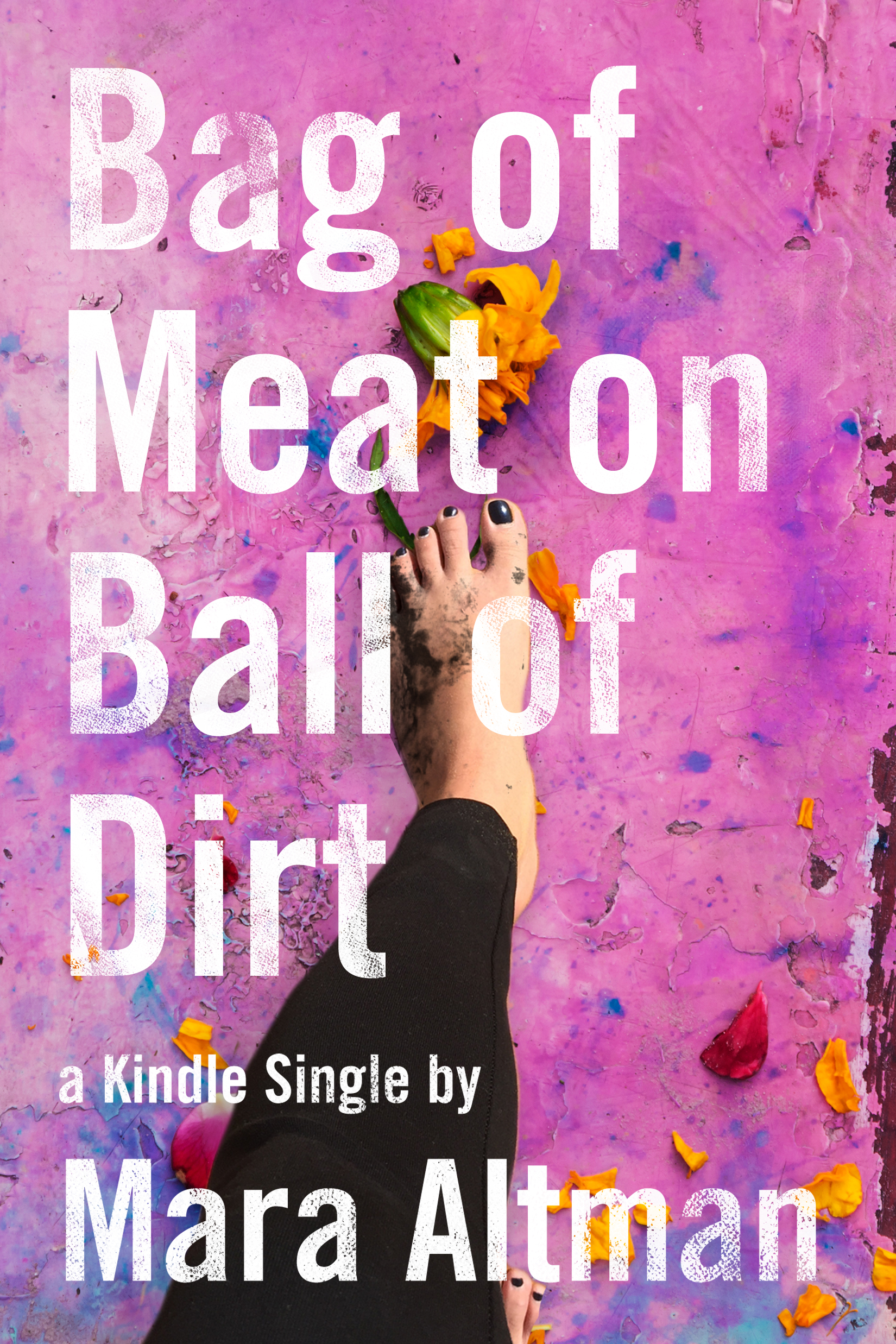 BAG OF MEAT ON BALL OF DIRT - my new short book