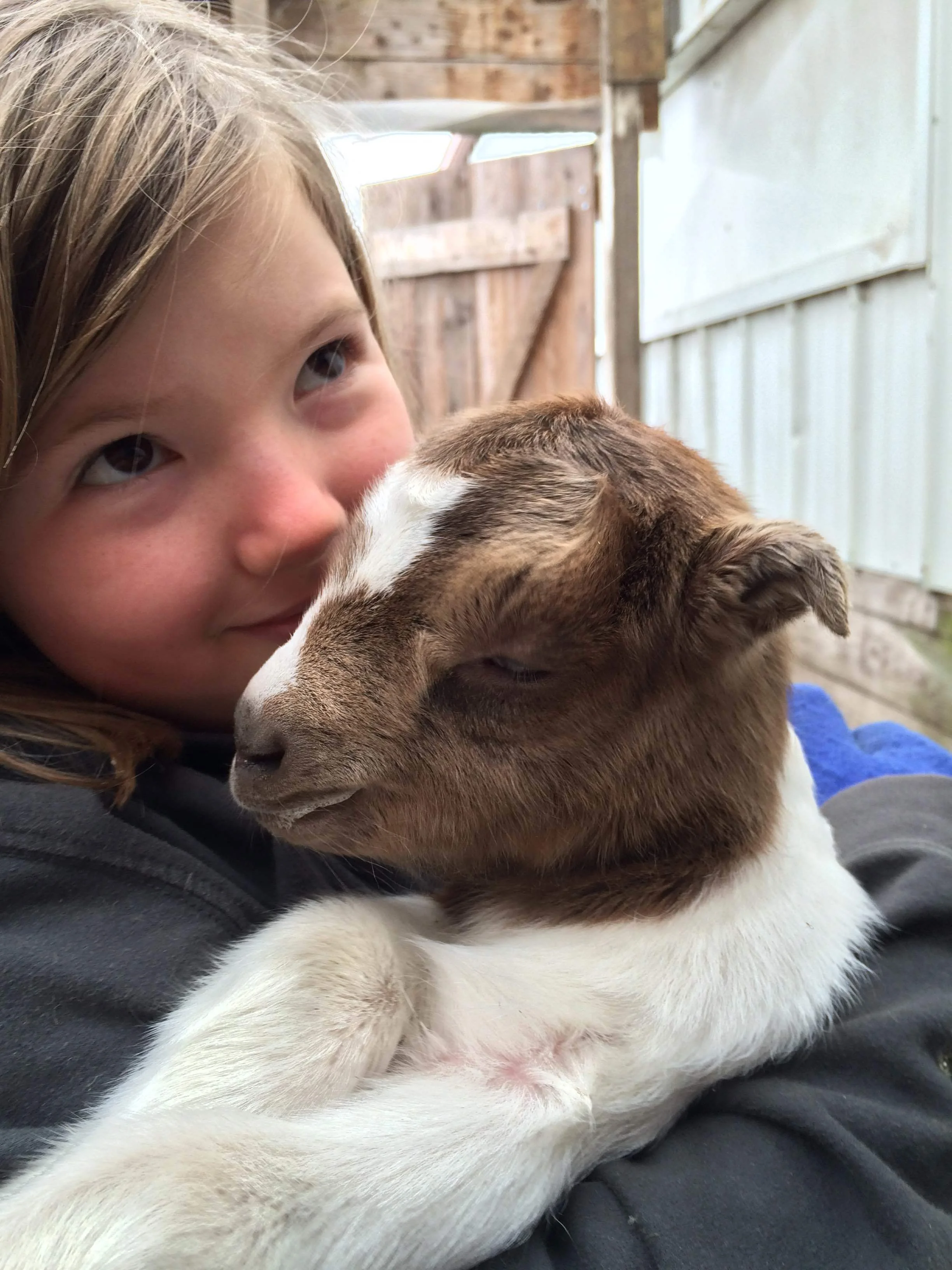 New Life on the Farm