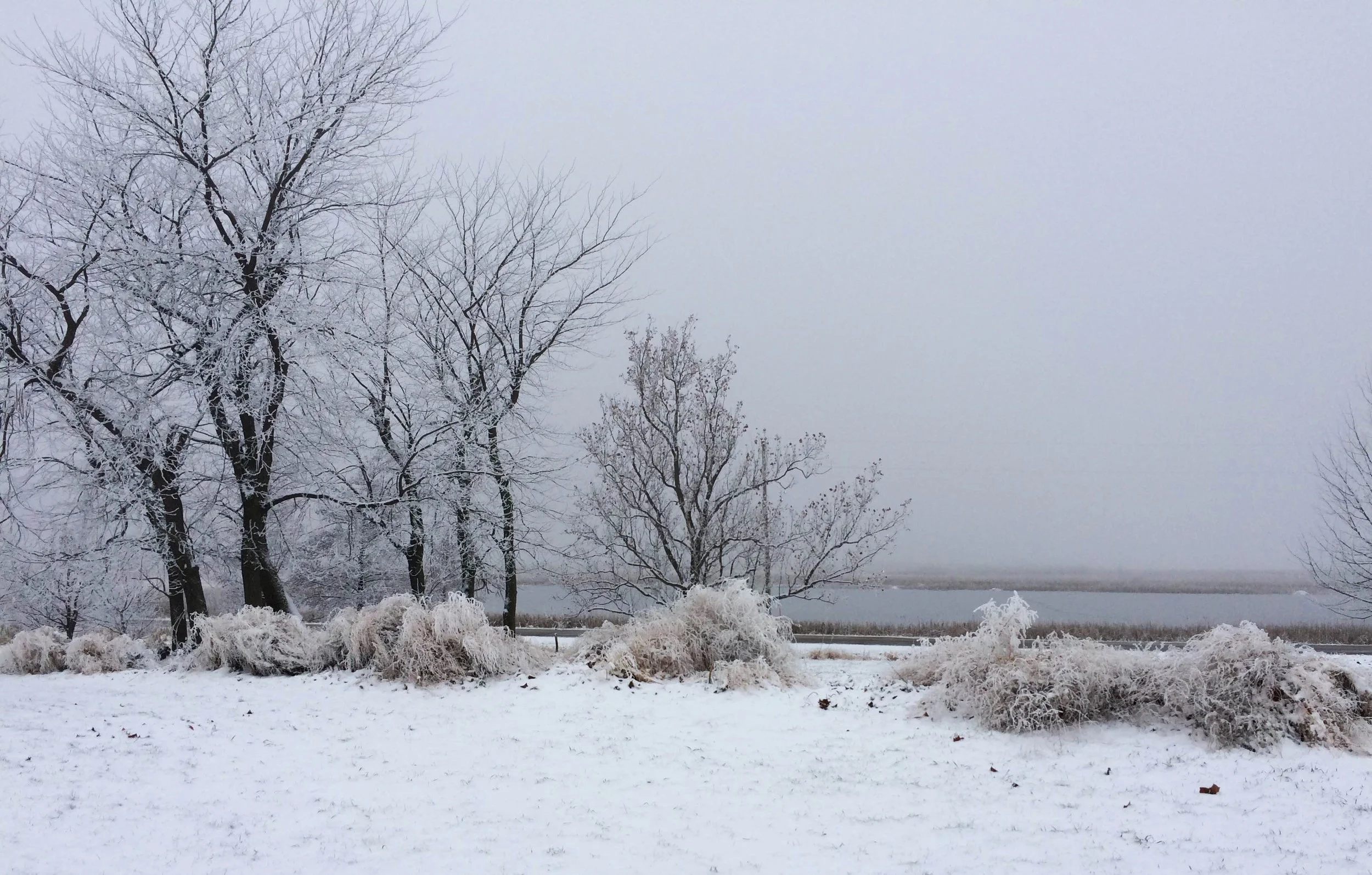 Frosty Farm