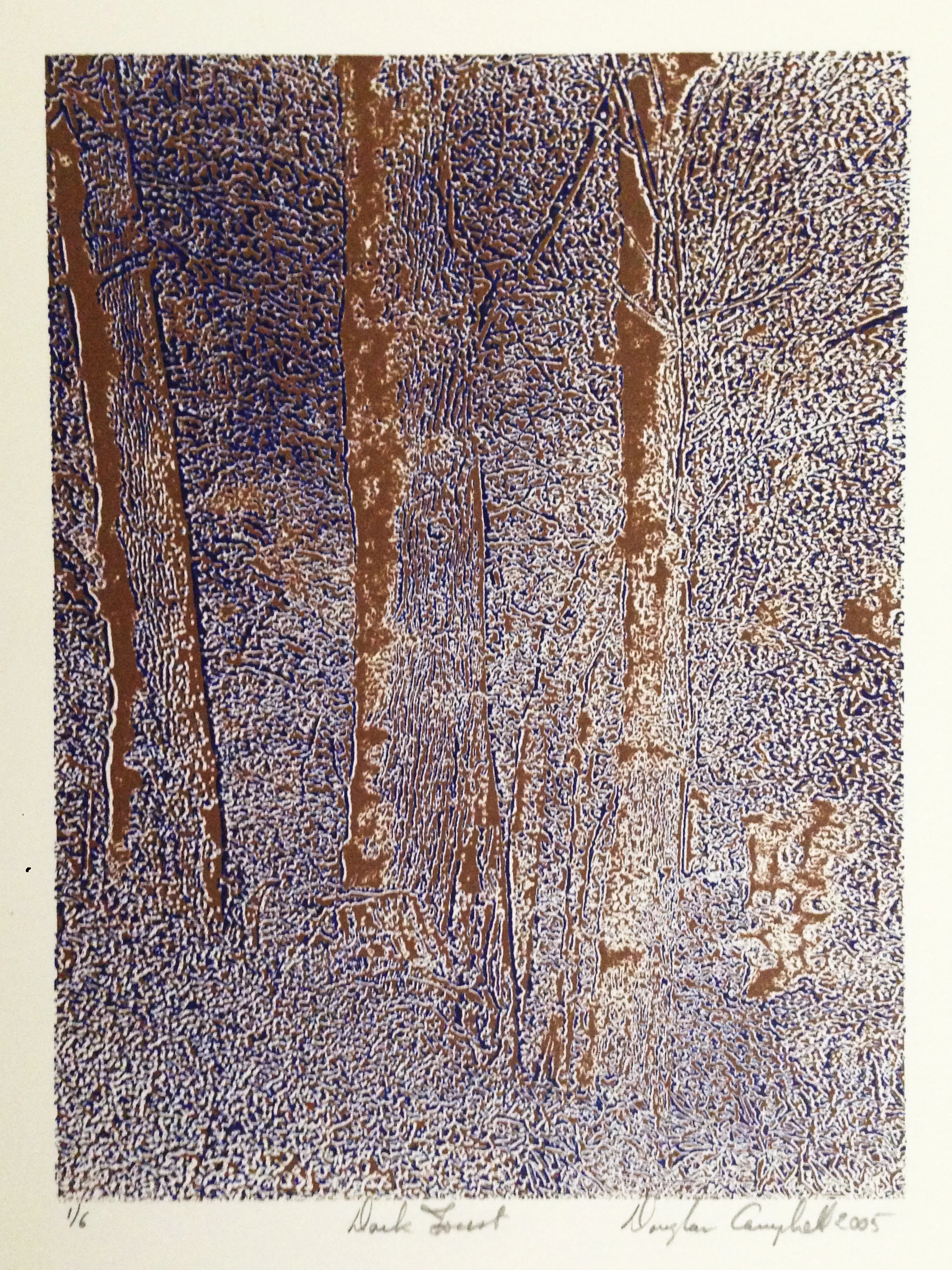 Dark Forest