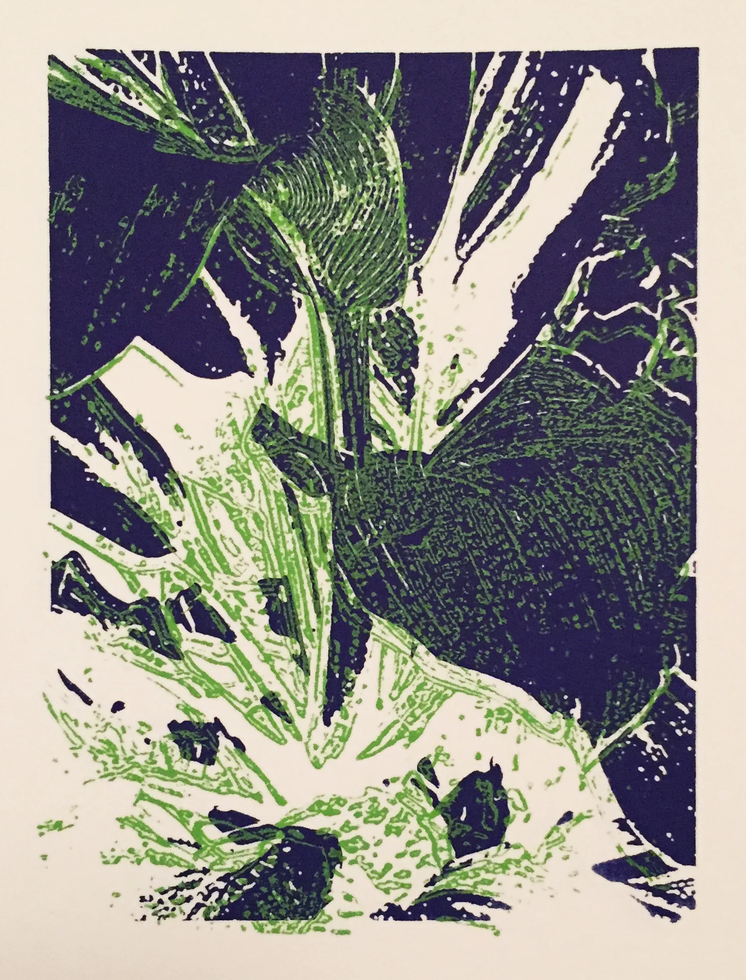 Hosta