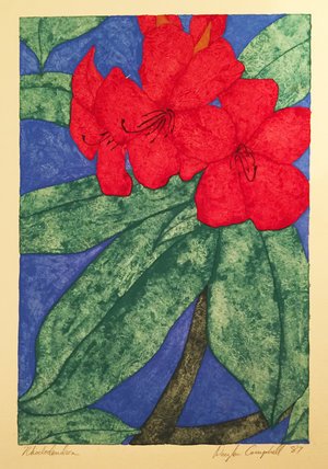 Rhododendron