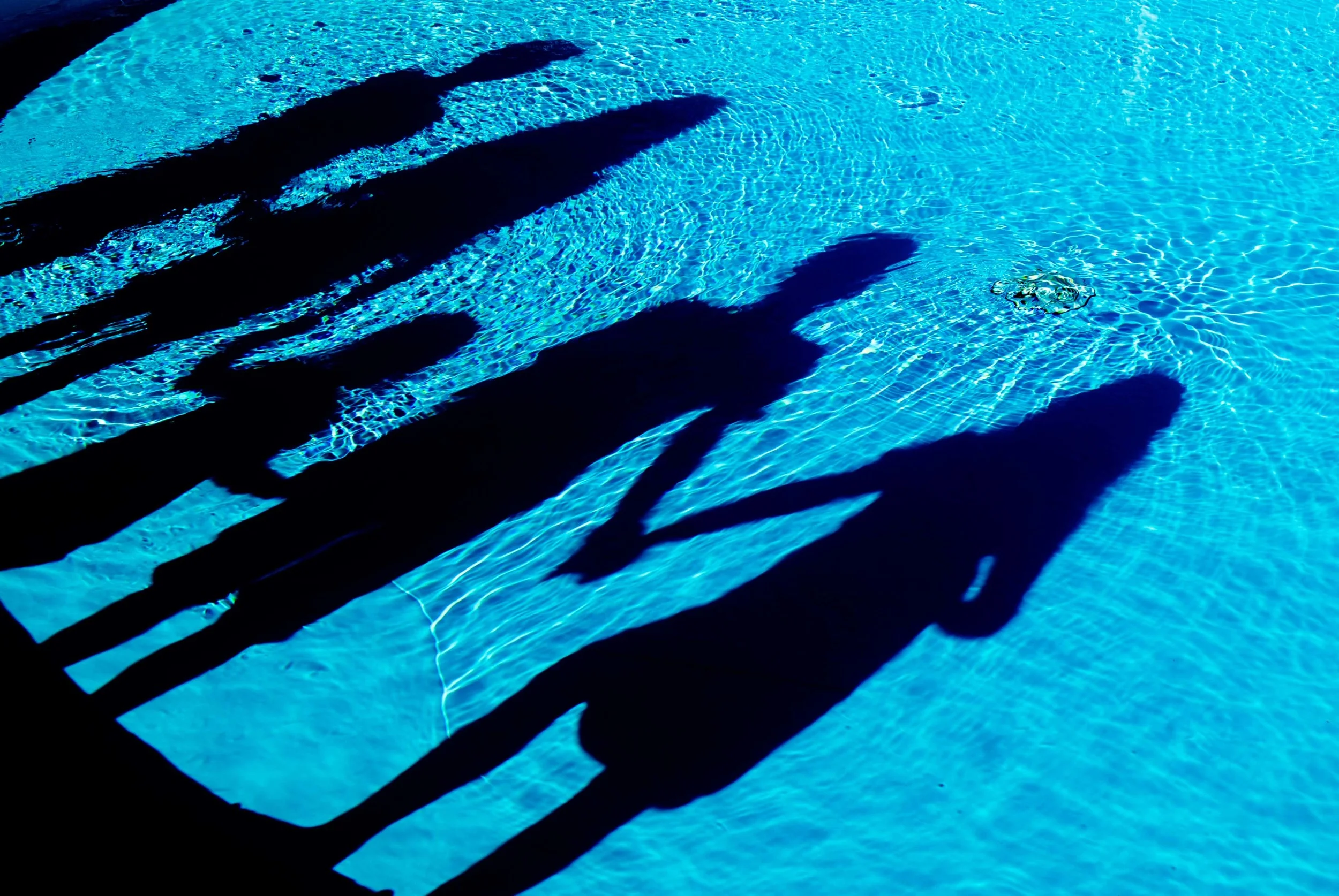 Waarom ik van deze reis hou. (En jij ook!)