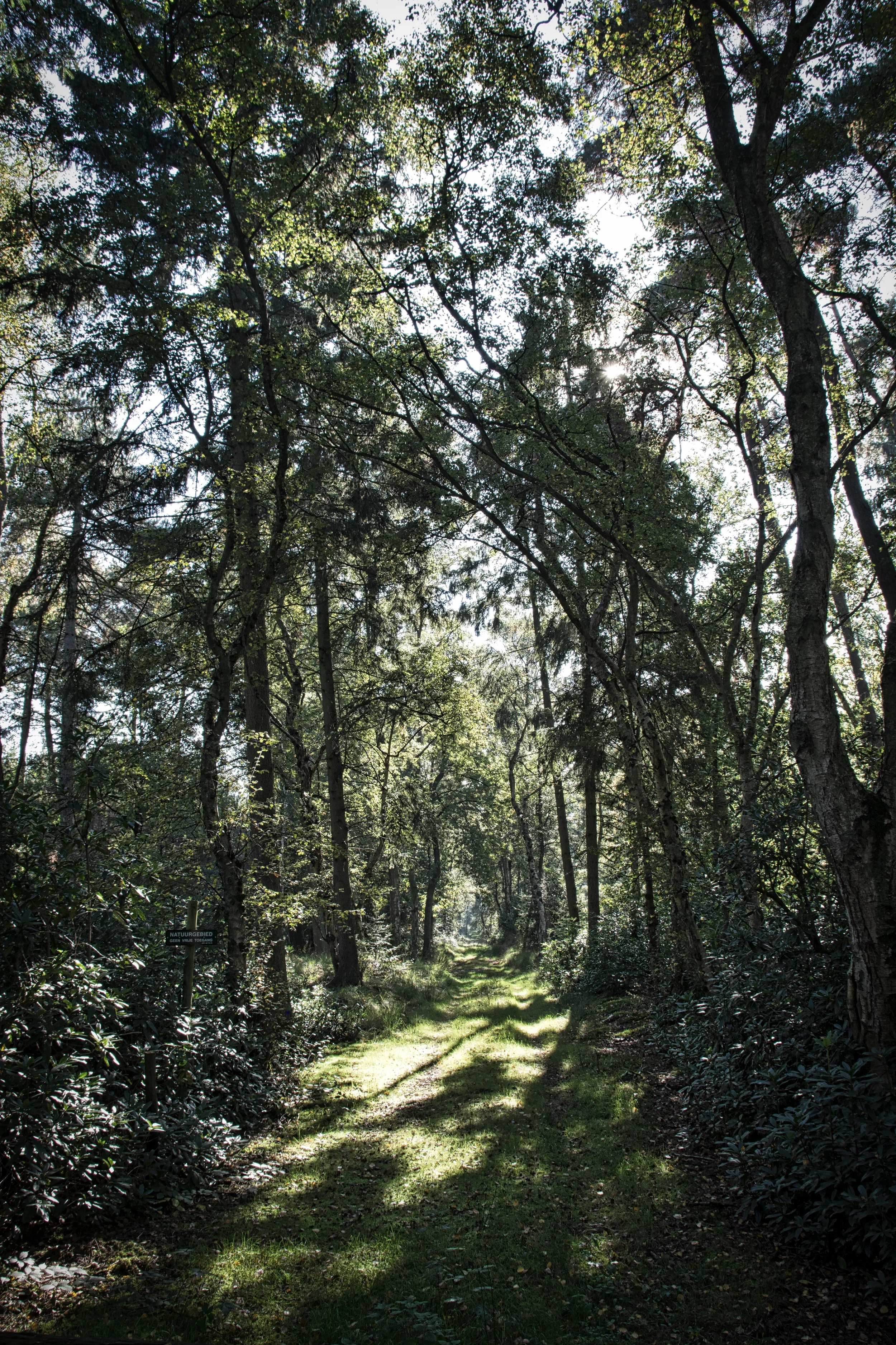Mijn wandeling door herfst