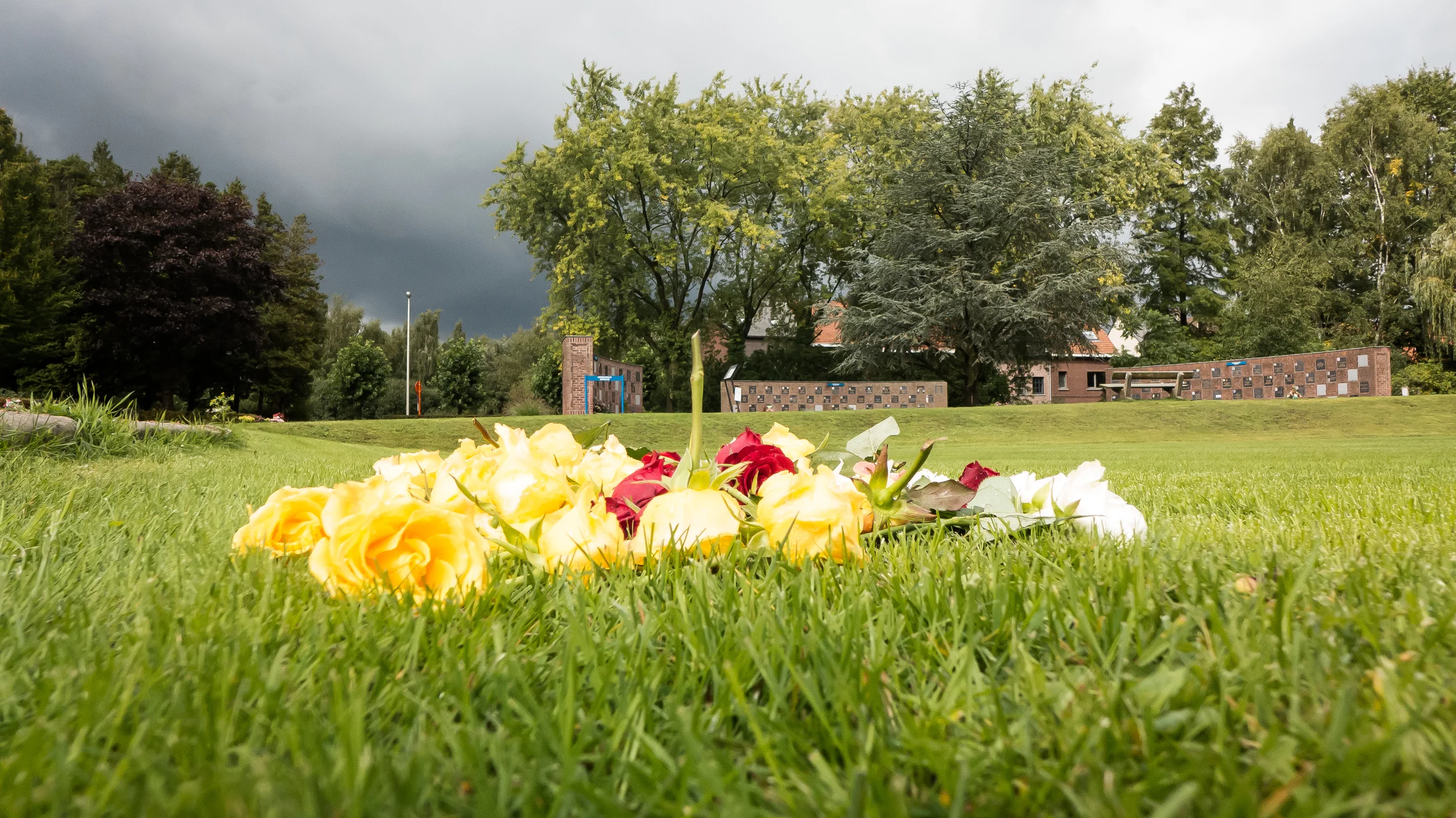 Wat maakt het kerkhof van Boom mooi?