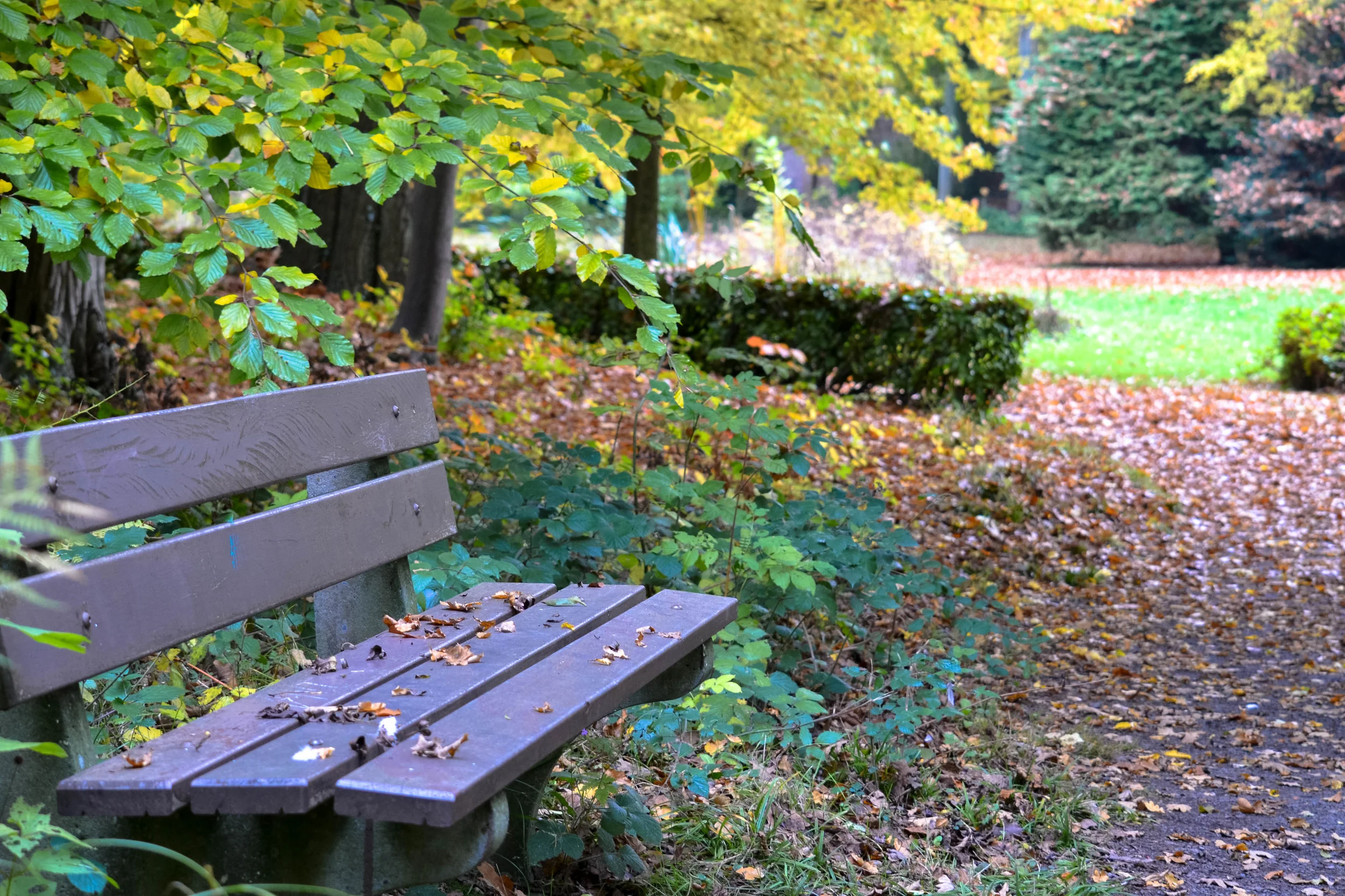 dsc_0358jpg_22250966109_o.jpg