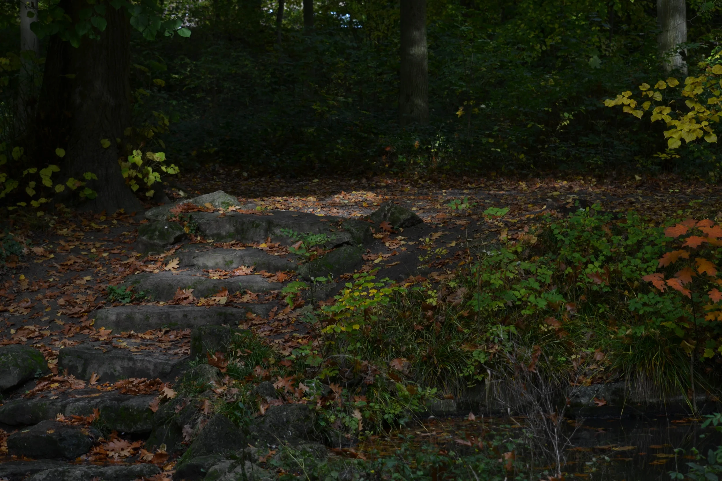 dsc_0383jpg_22411776636_o.jpg