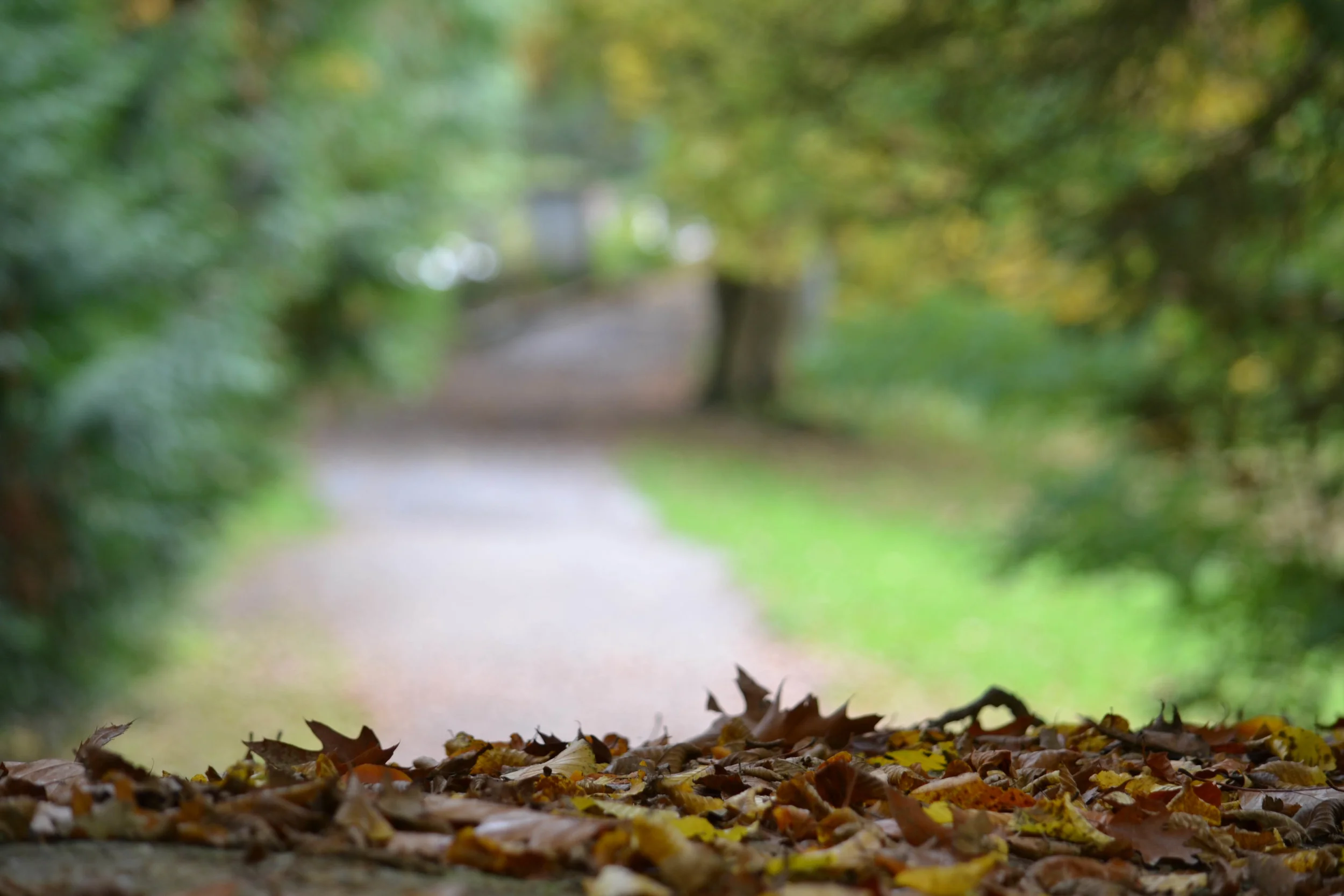 Een wandeling door 'Park van Breivelde'
