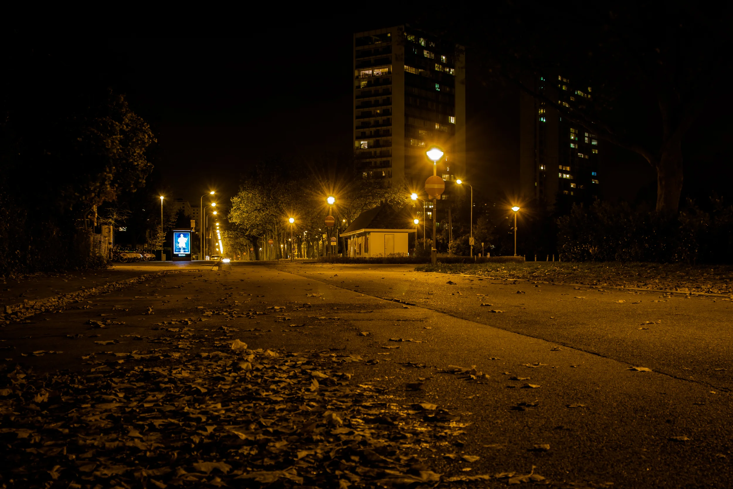 Viewfinder-114 - kopie.jpg