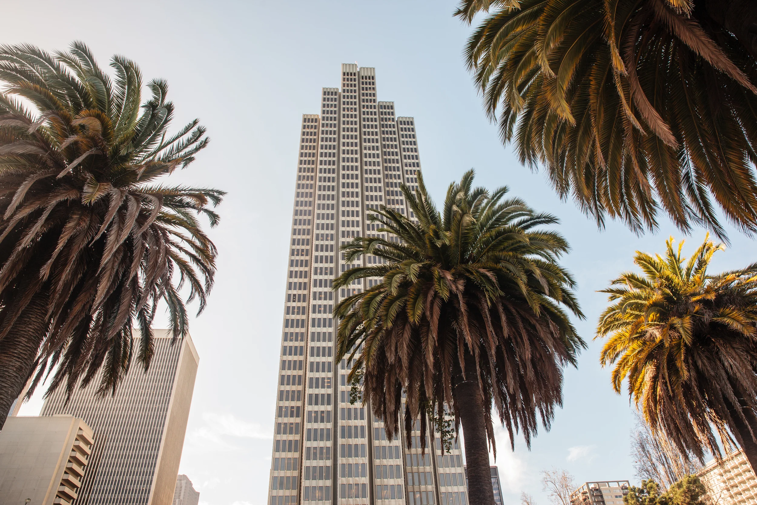 SanFran1.jpg