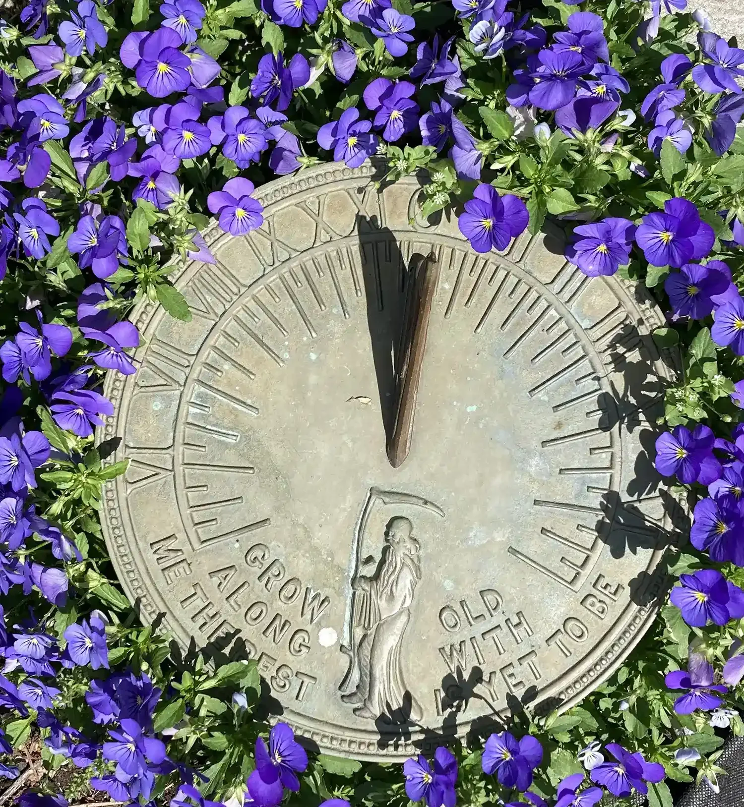 sundial with violets