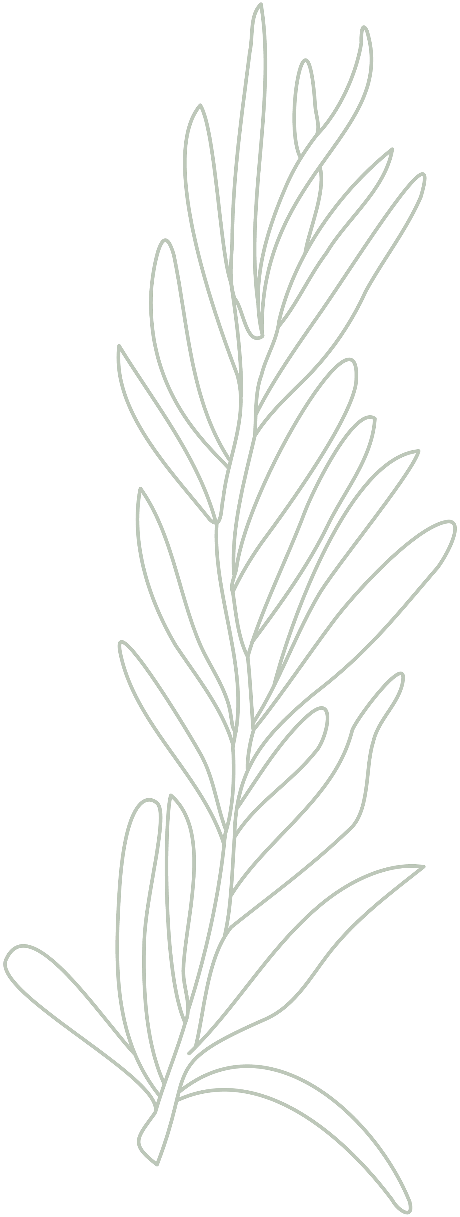 herb twig