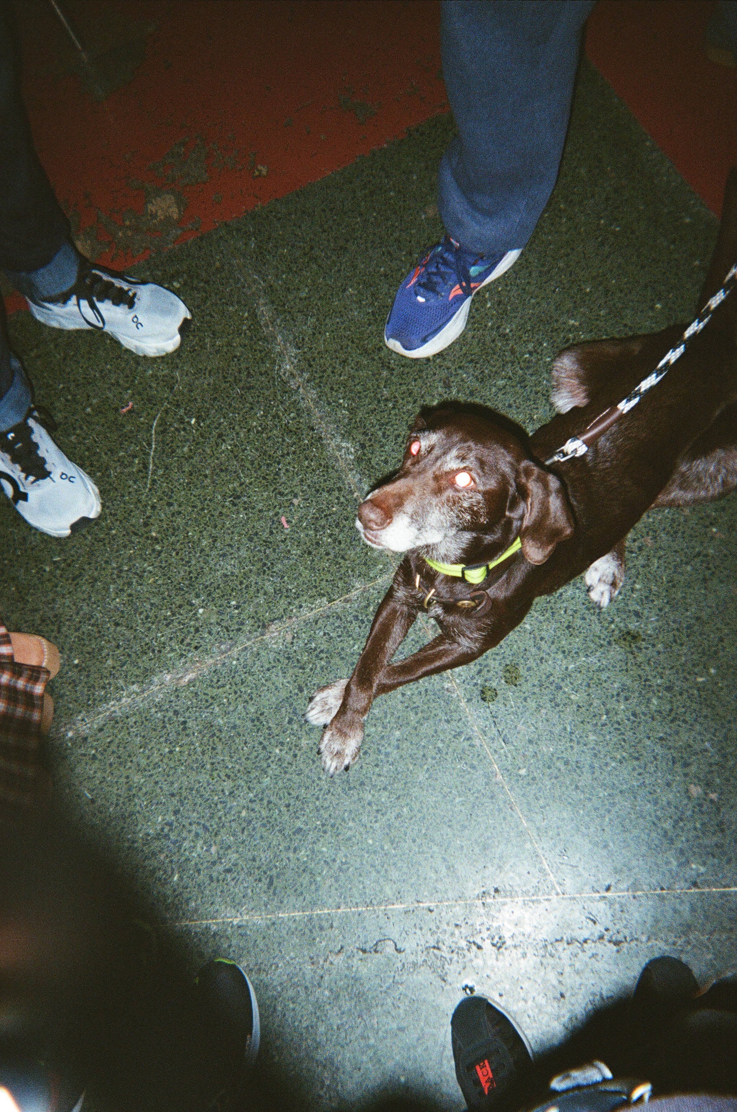 IMG_8524.jpeg