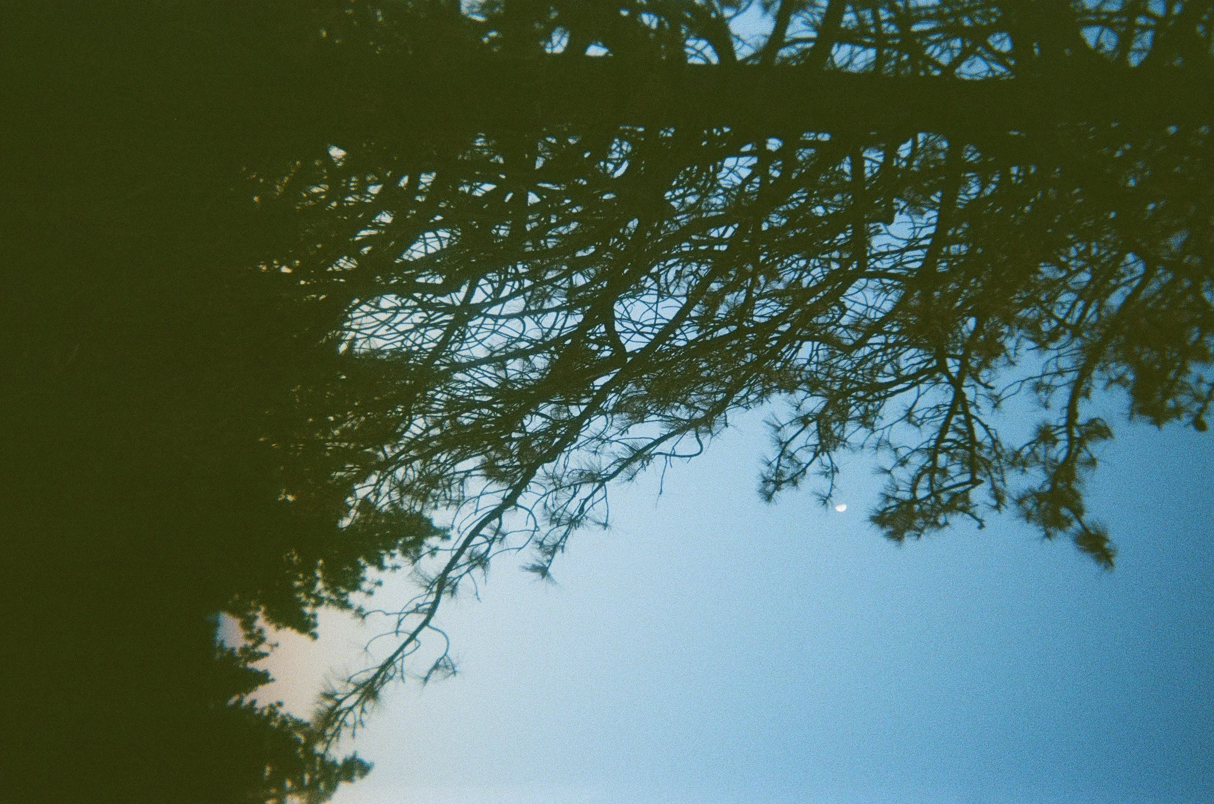 IMG_1763.jpeg