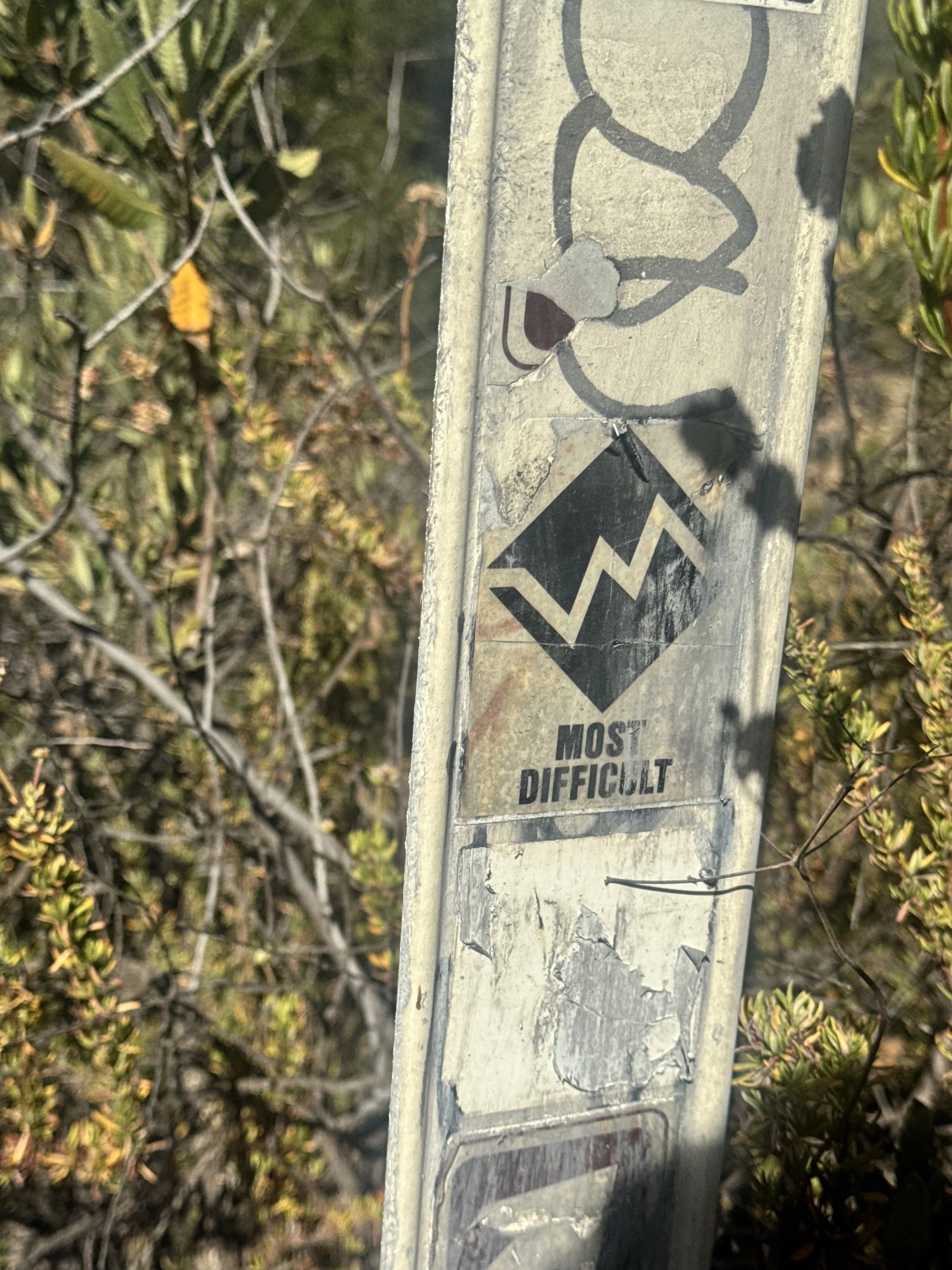 IMG_0297.jpeg
