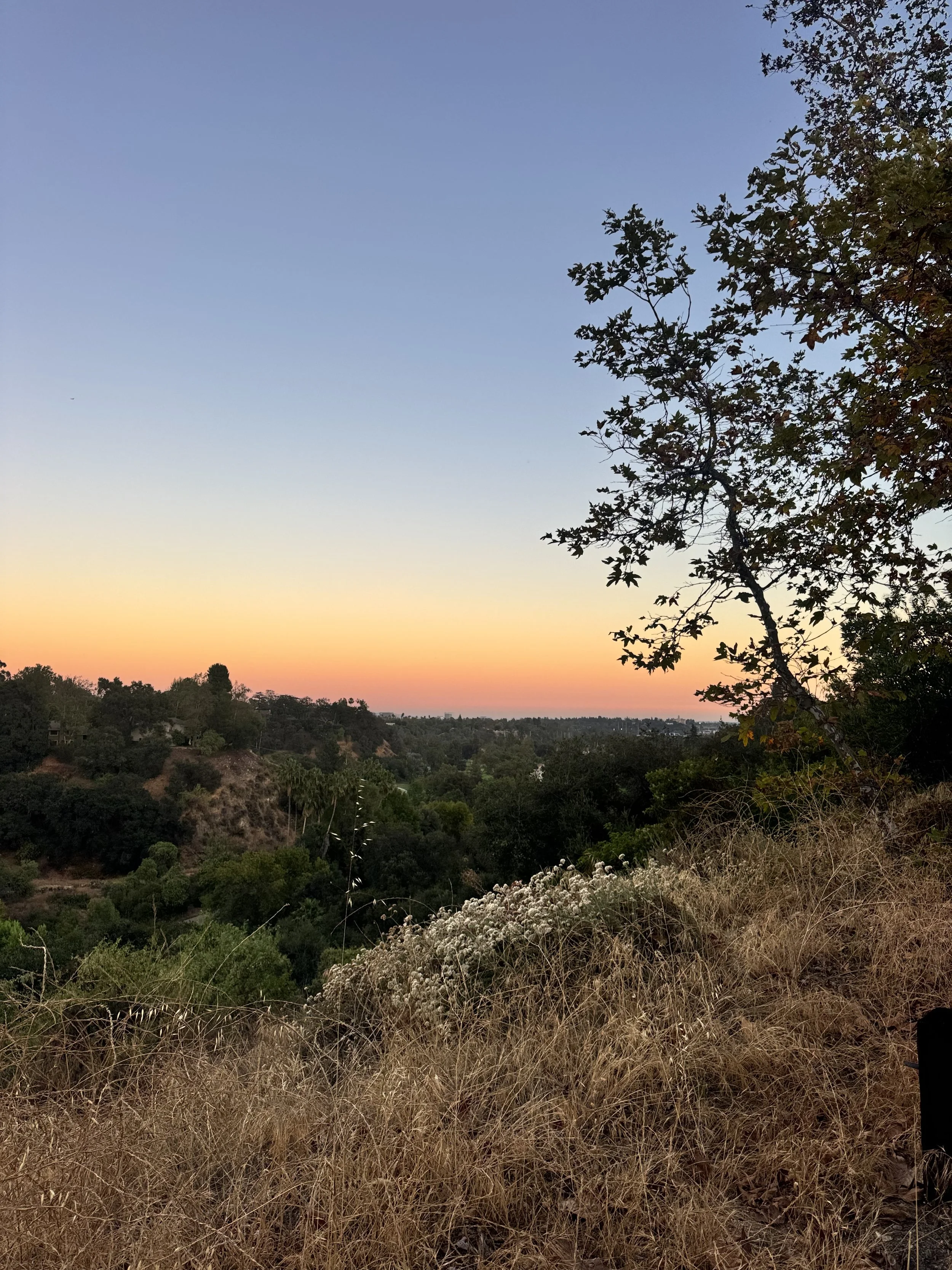 IMG_0161.jpeg