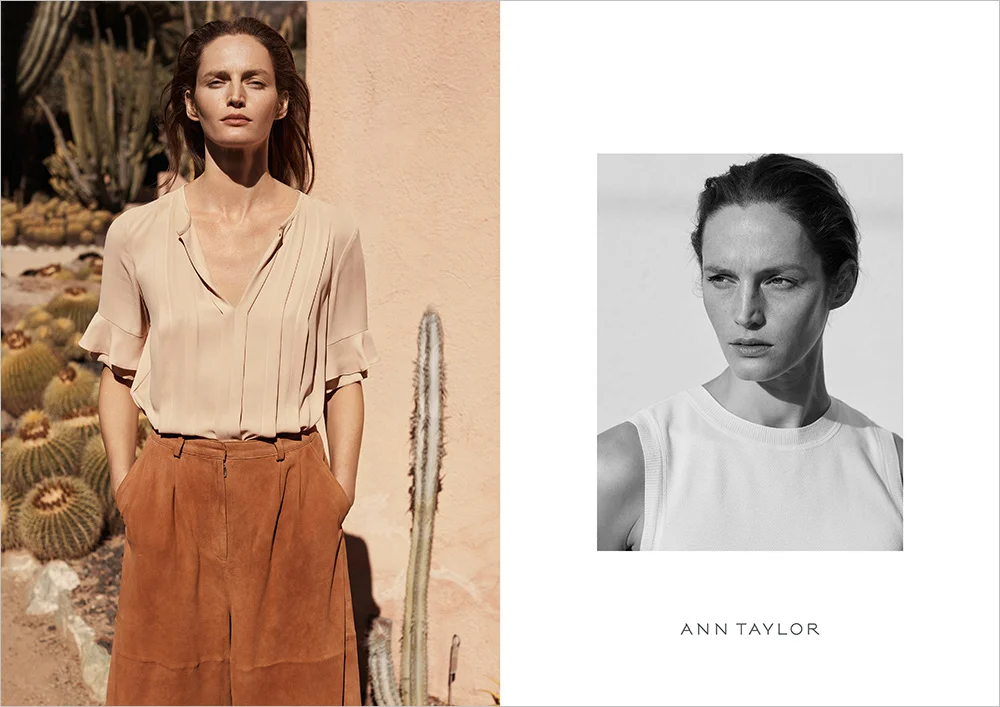 WEB_ANN_TAYLOR_SP168_STROKE_1000.jpg