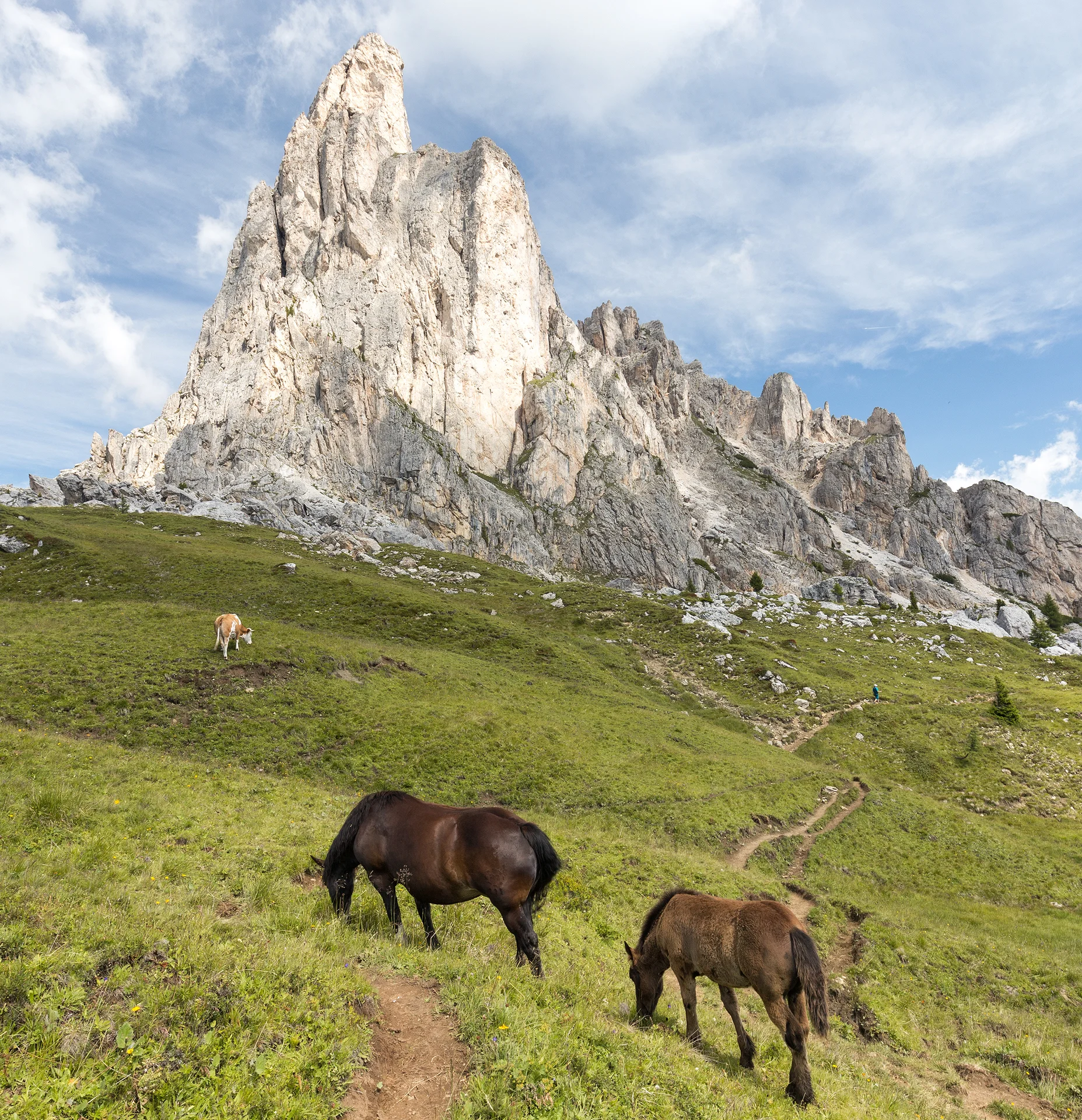 Italian Dolomites Alta Via 1-1.jpg