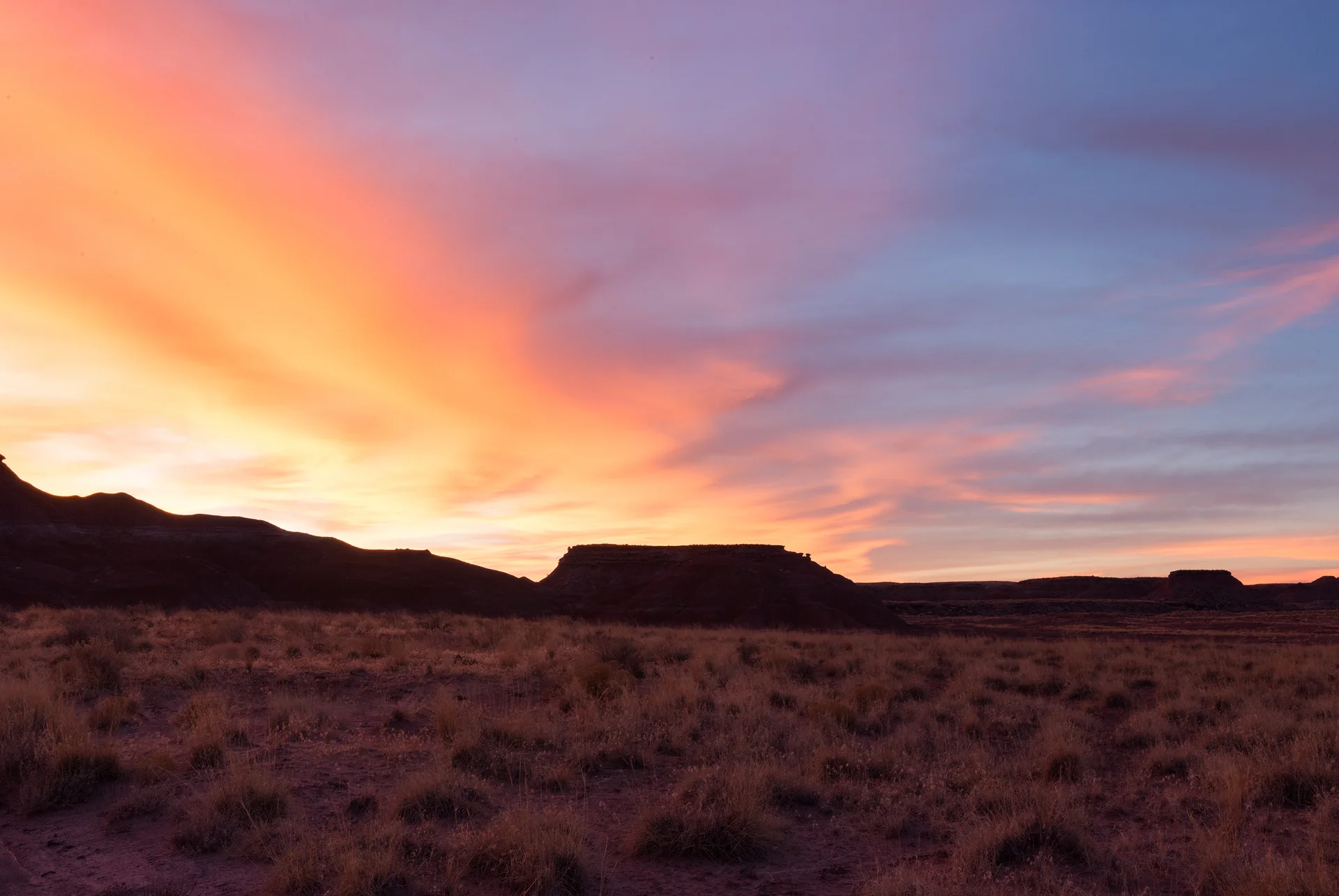 Petrified Forest National Park-10.jpg