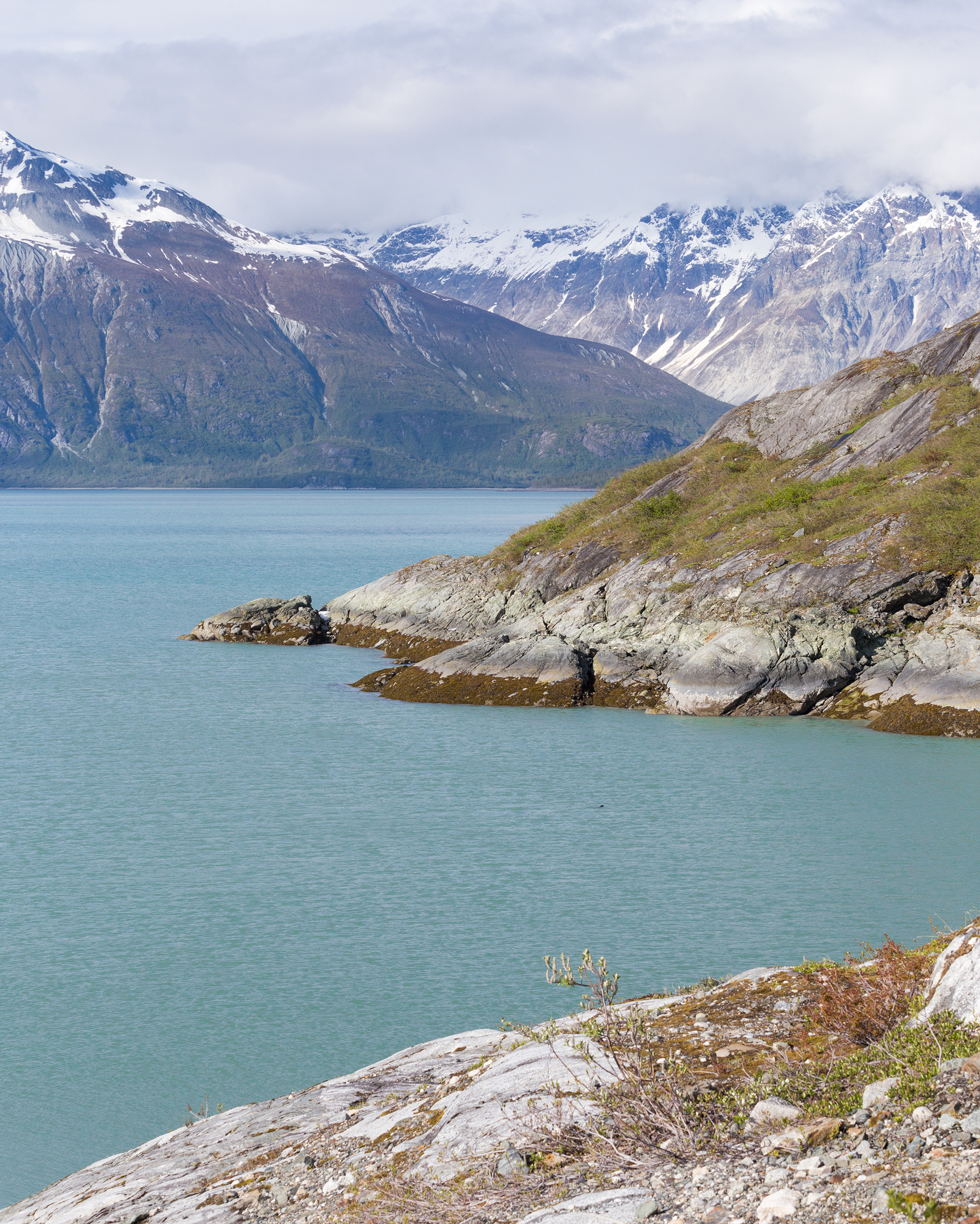 Glacier Bay National Park West Arm Kayaking Camping Trip-52.jpg