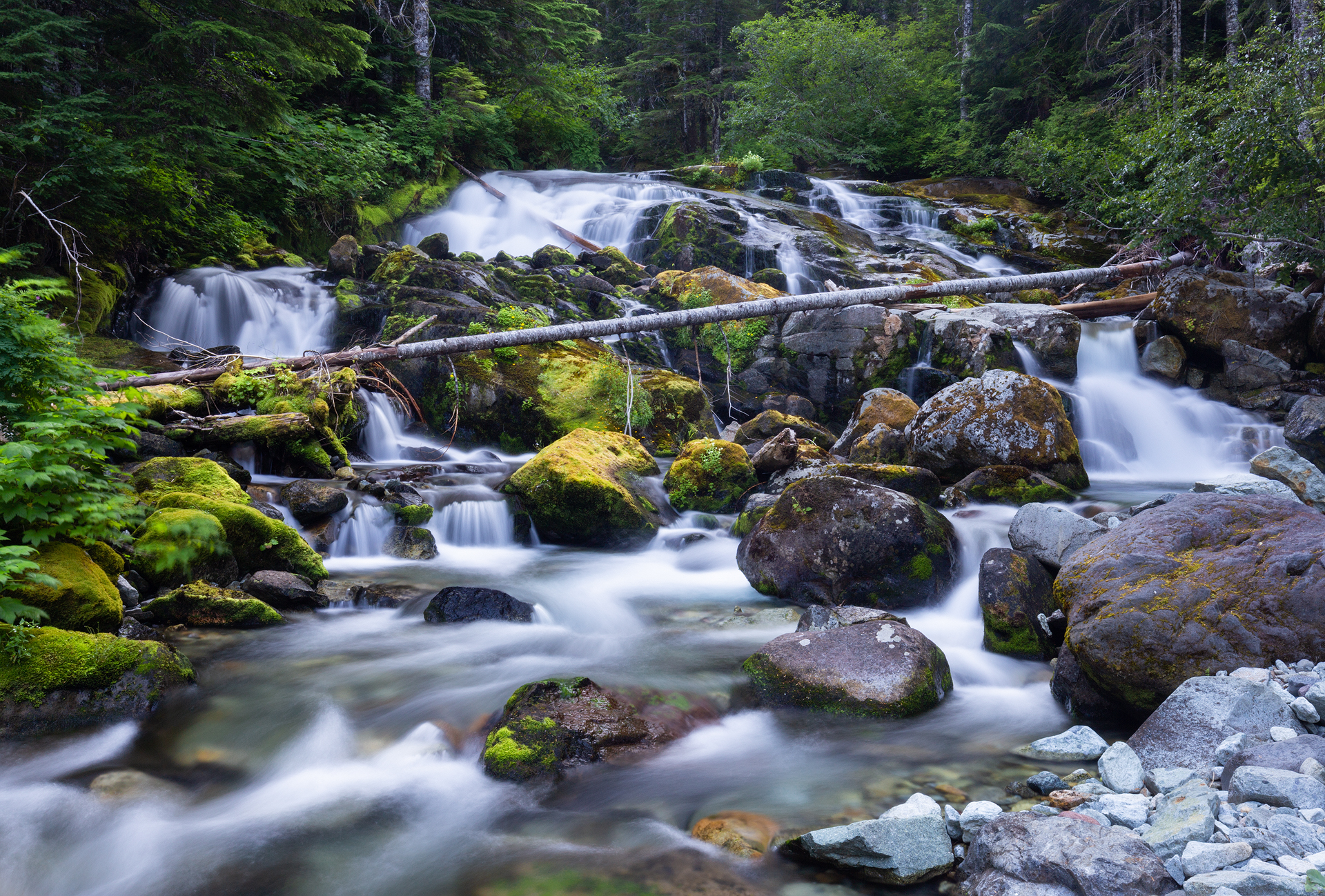 Wonderland Trail Mt Rainier-11.jpg