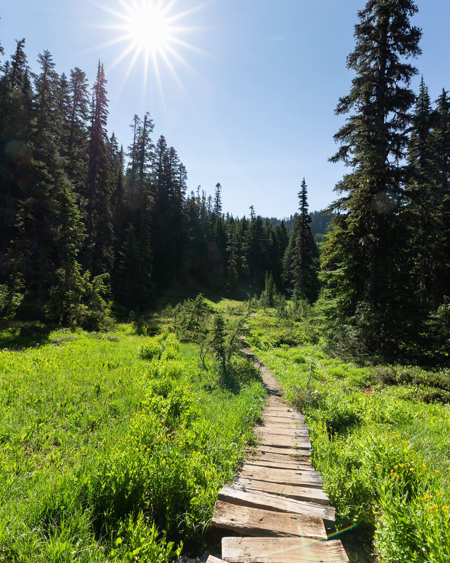 Wonderland Trail Mt Rainier-13.jpg